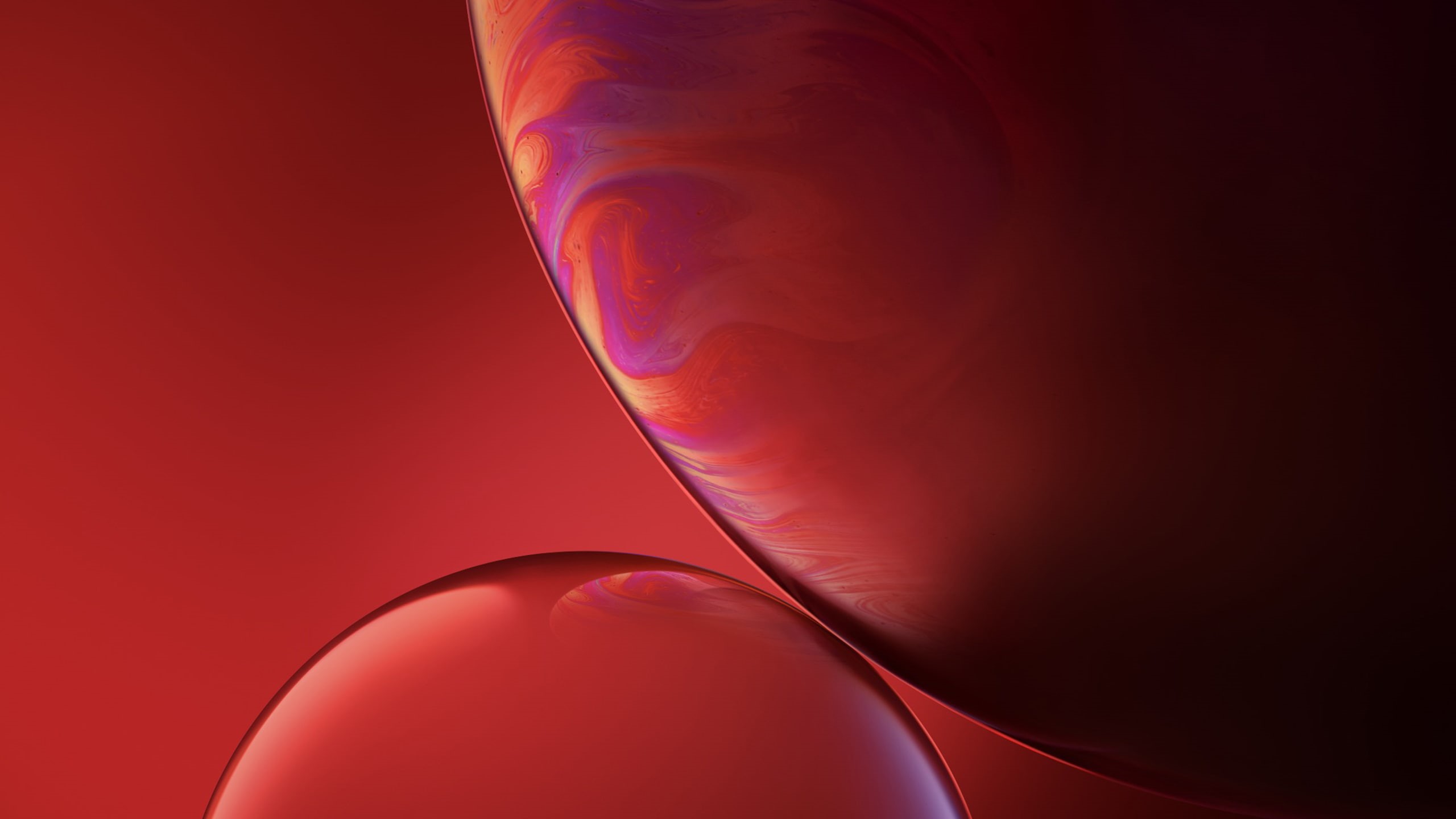 pink color, indoors, copy space, no people, red, textured, softness, Stock, body part, xr, Bubbles, colored background, technology, extreme close-up, abstract, HD Wallpaper