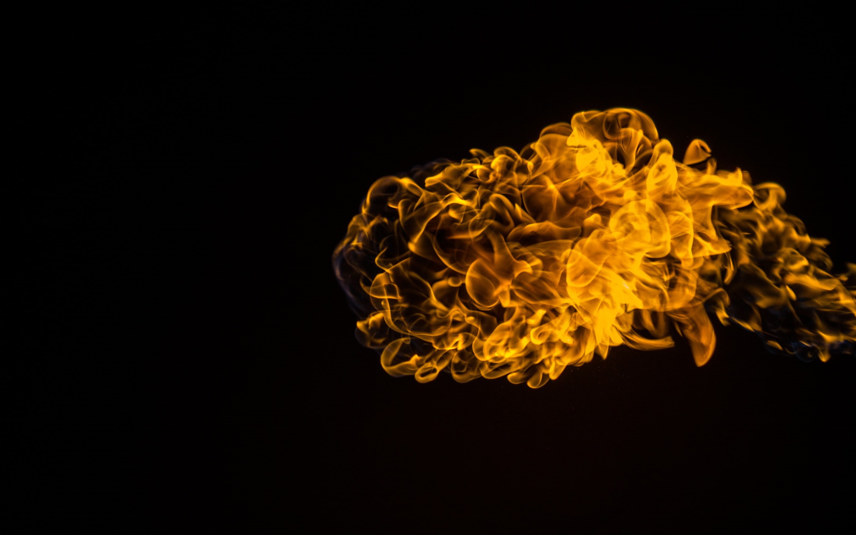 2K, black, hot, fire, black background, background, art, HD Wallpaper