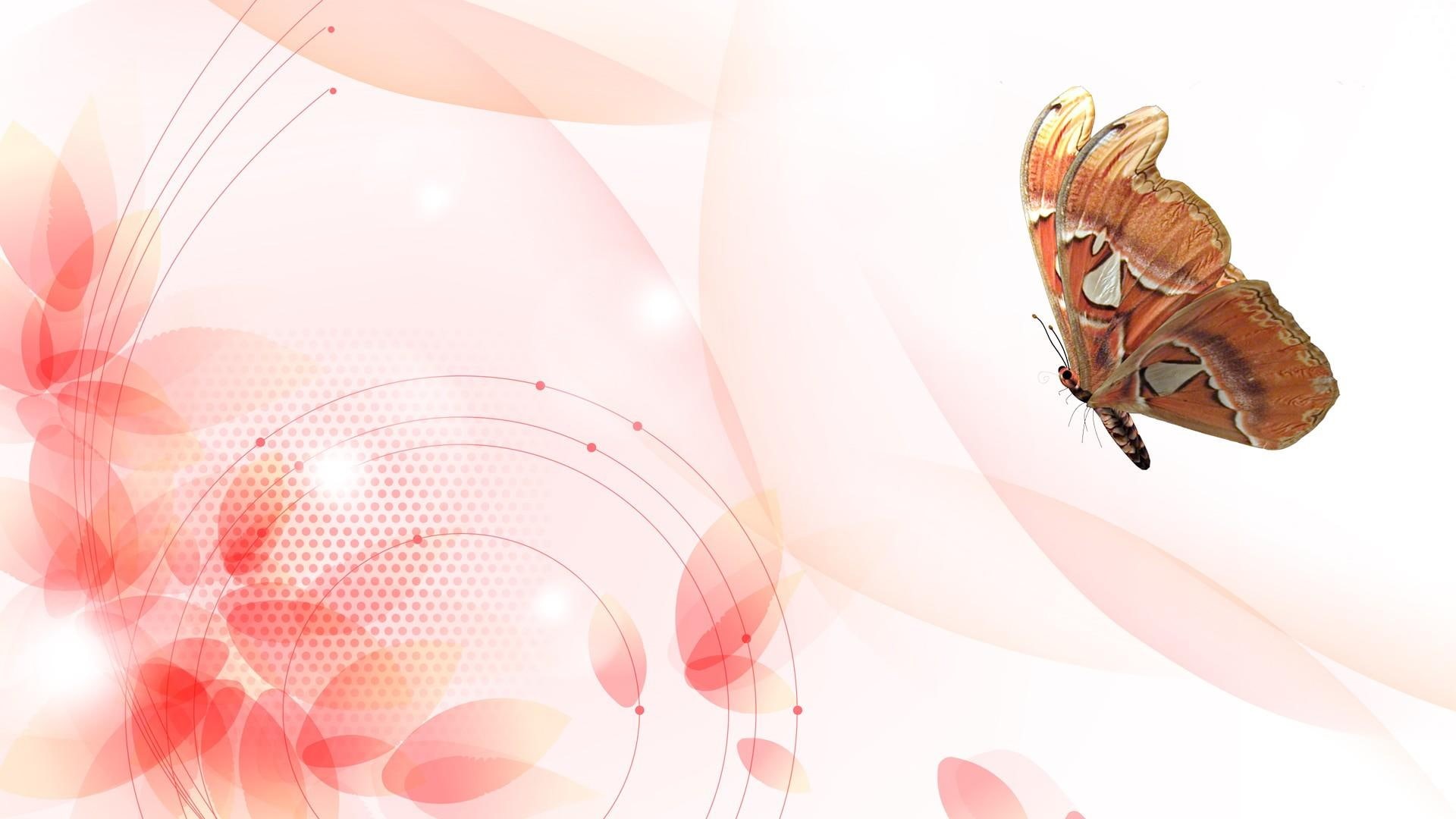 glow, smoke, coral, brown, petals, pink, firefox persona, illustration, wings, spots, flowers, 3d and abstract, 1080P, butterfly, sparkles, HD Wallpaper