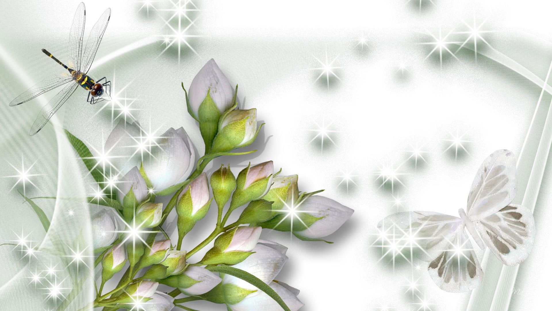 flower blossoms, beautiful, butterfly, whites, stars, buds, firefox persona, blooms, dragonfly, silk, 1080P, 3d and abst, shadows, HD Wallpaper
