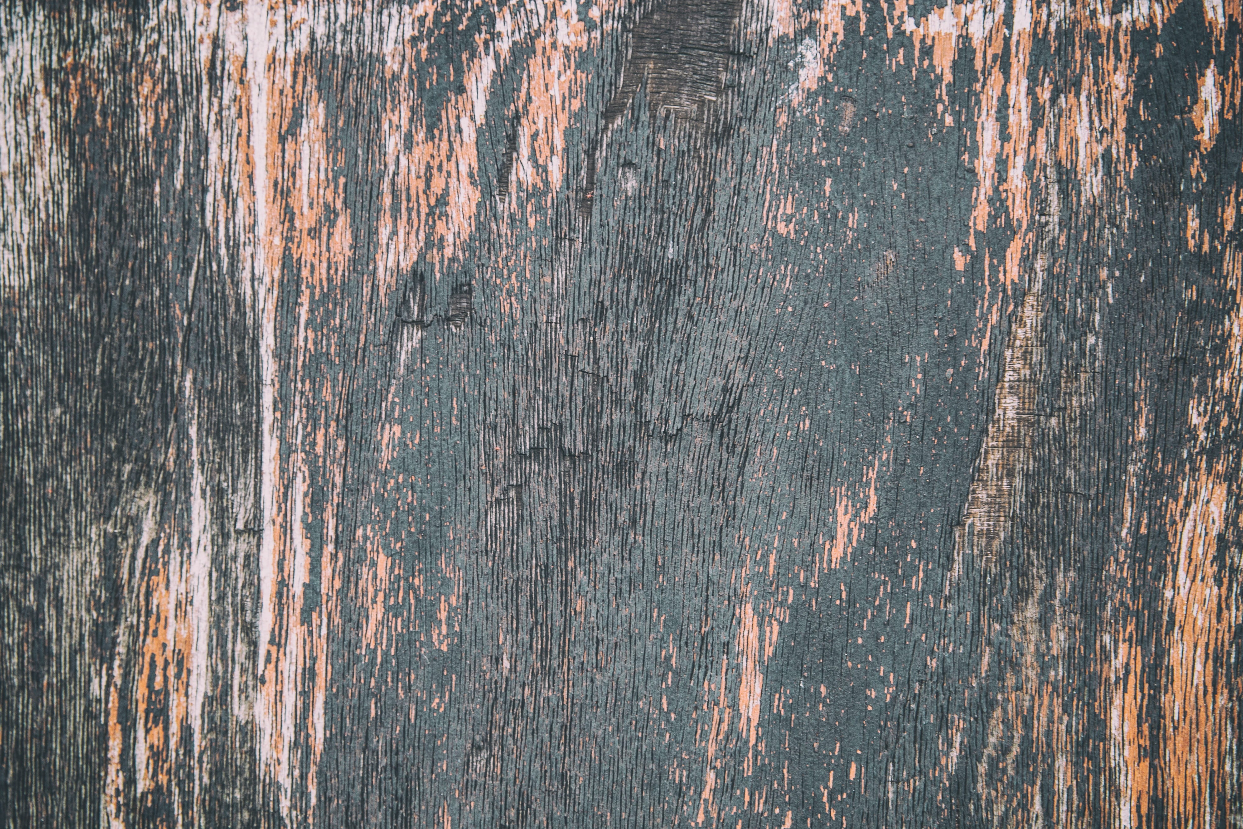 wood, brown, shot, paint, captured, textured, wood grain, weathered, full frame, trunk, texture, image, material, backgrounds, old, dirty, outdoors, Canon, HD Wallpaper