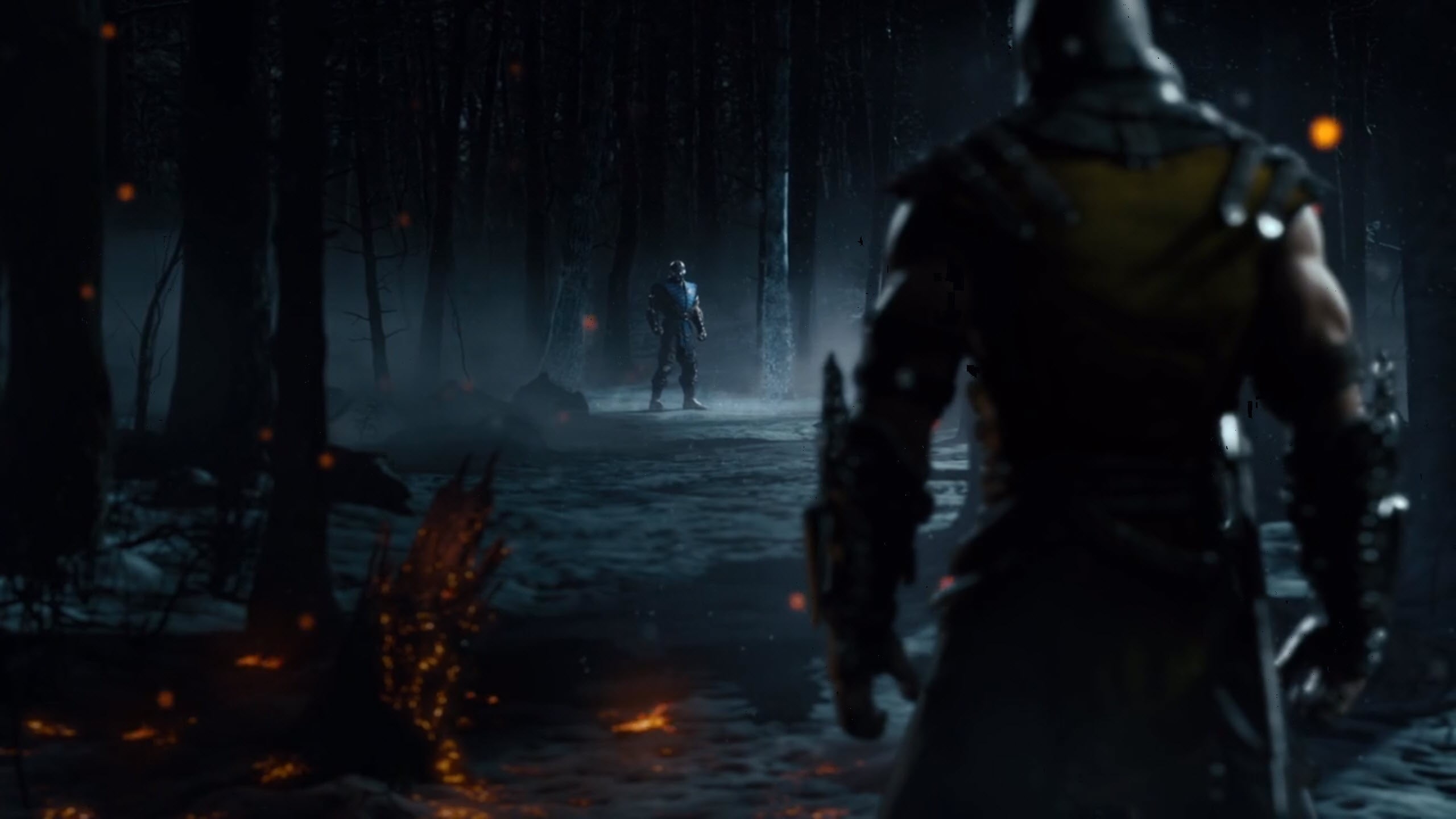 application, Mortal Kombat X, adult, land, face, nature, night, outdoors, game, video games, winter, 2K, snow, illuminated, three quarter length, unrecognizable person, HD Wallpaper