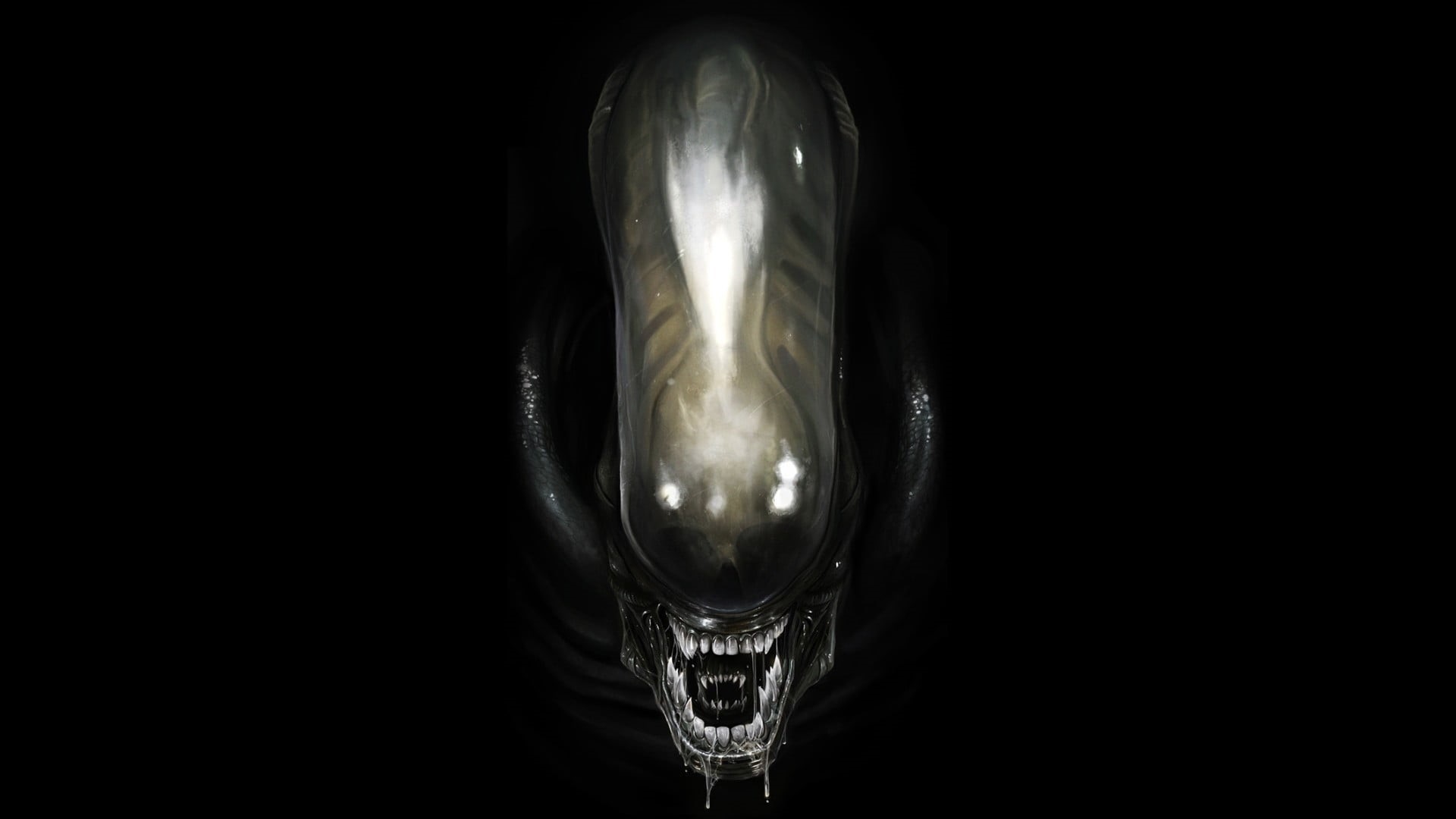 animal body part, lighting equipment, indoors, 1080P, Alien (movie), black background, light bulb, black, animal themes, reflection, artwork, one animal, HD Wallpaper