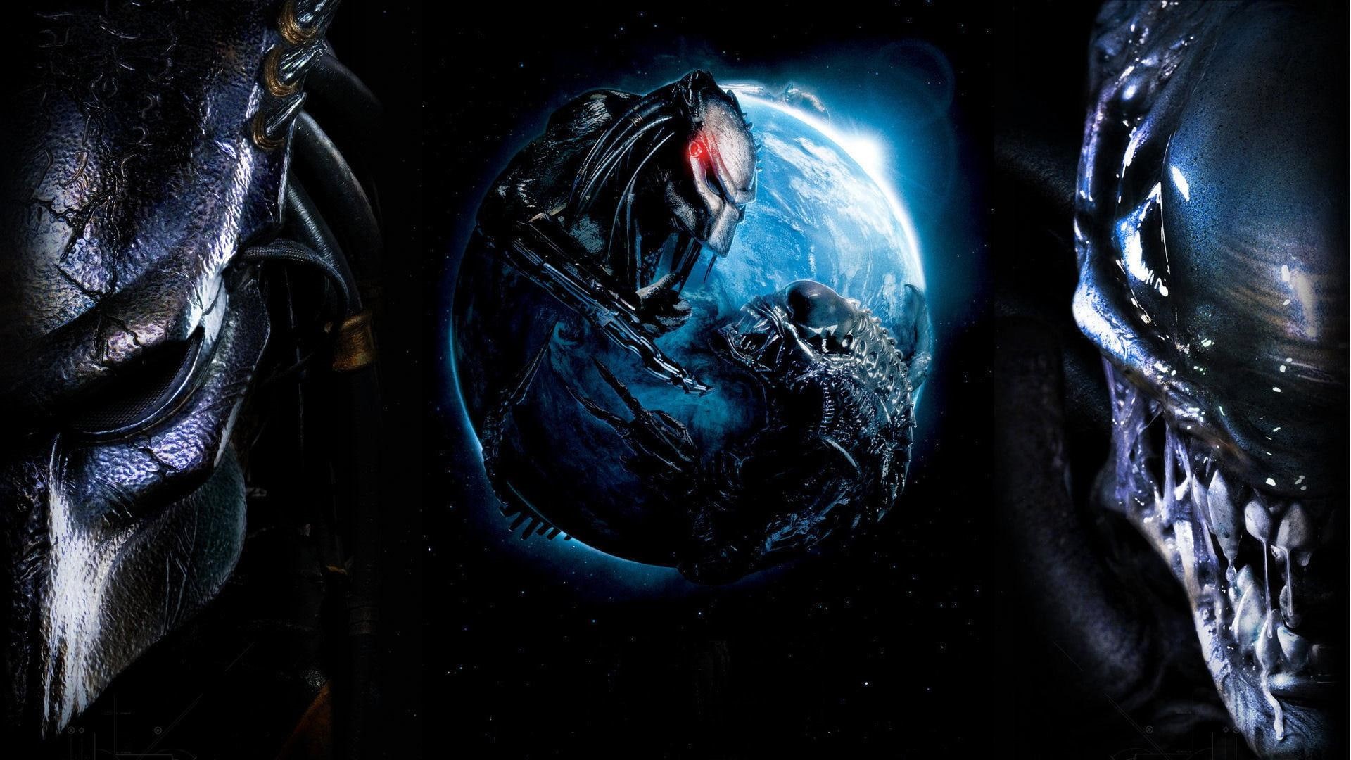 predator, 1080P, movies, alien, vs, HD Wallpaper