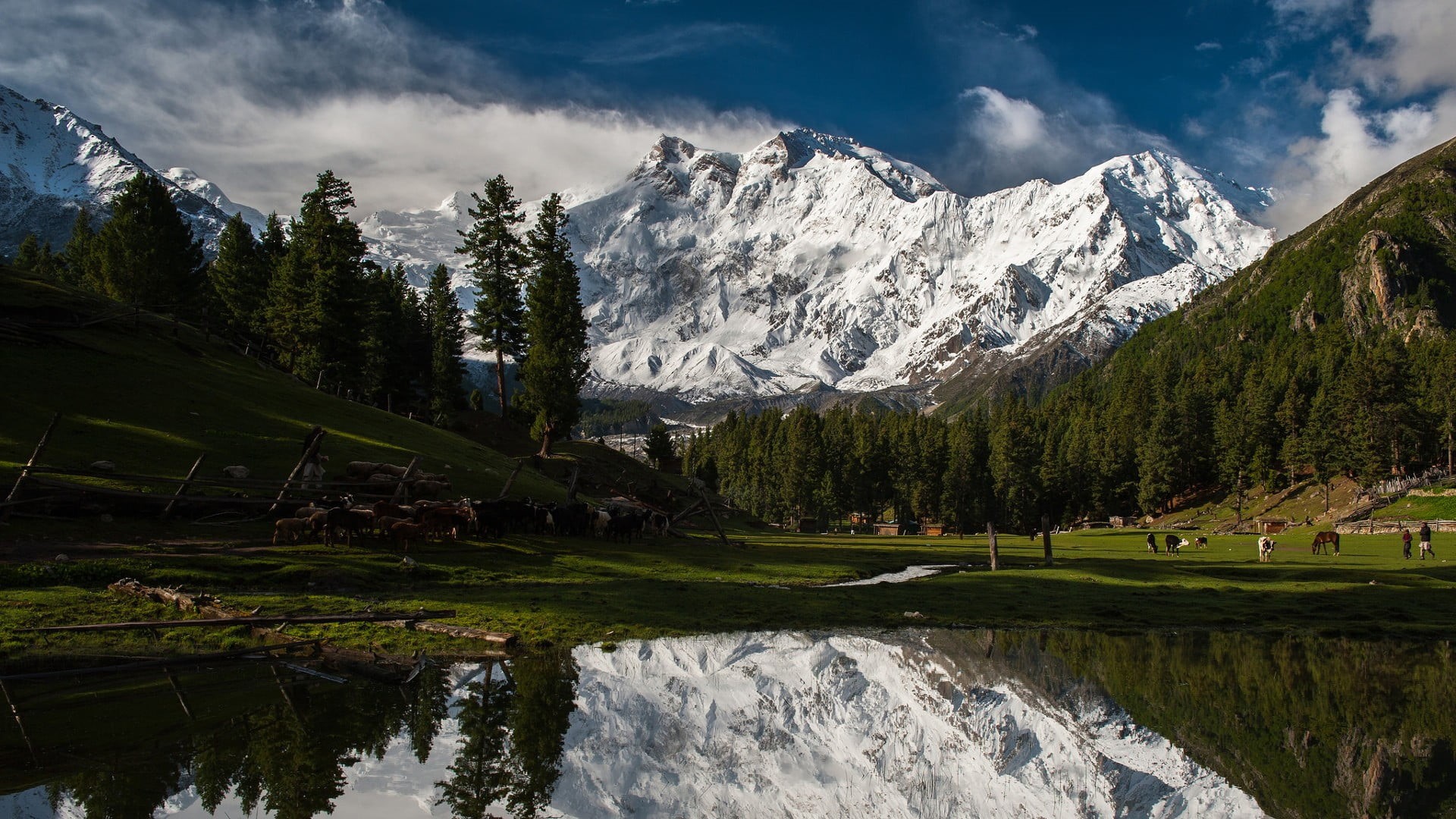 cloud - sky, scenics - nature, environment, beauty in nature, mountains, mountain, no people, water, coated, formation, pine trees, snowcapped mountain, HD Wallpaper