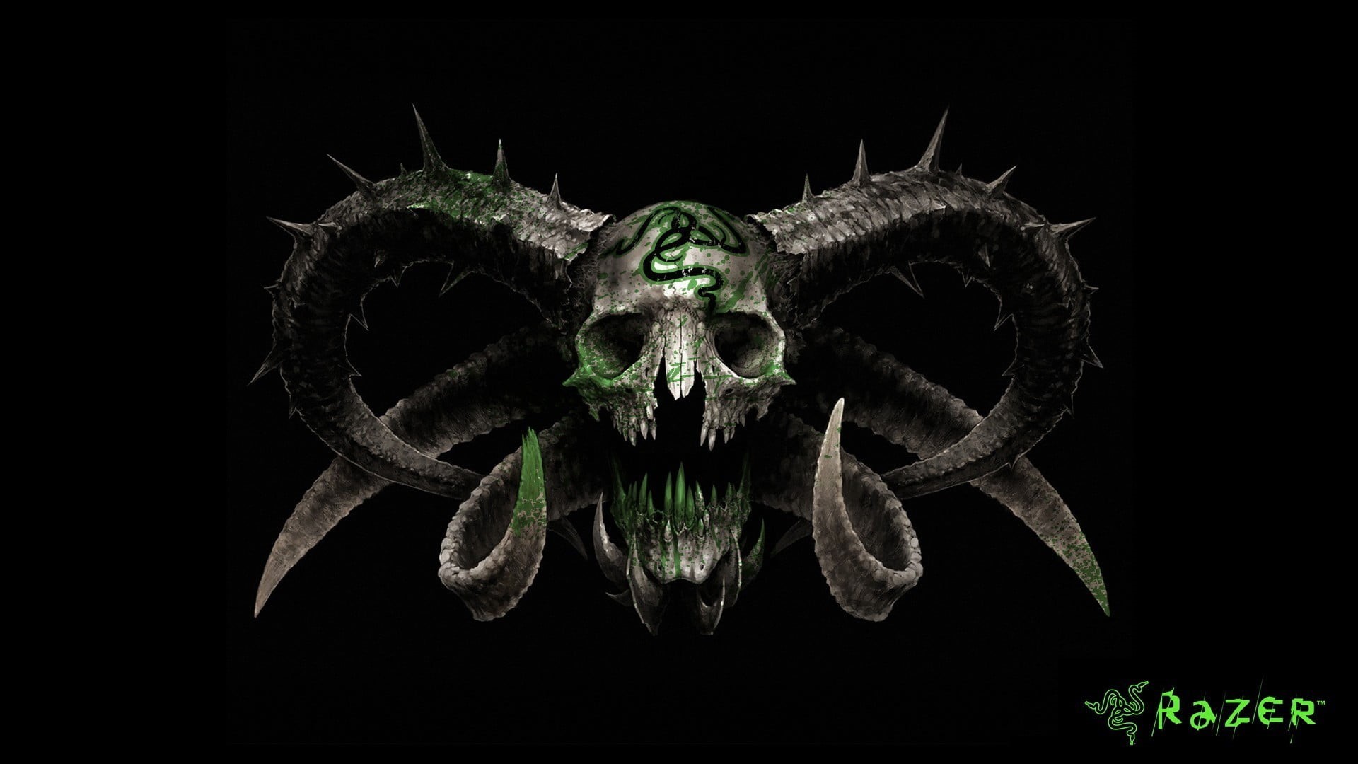 close-up, skull, plant, animal wildlife, night, graphic, animal body part, Razer, green color, arthropod, studio shot, black background, no people, HD Wallpaper