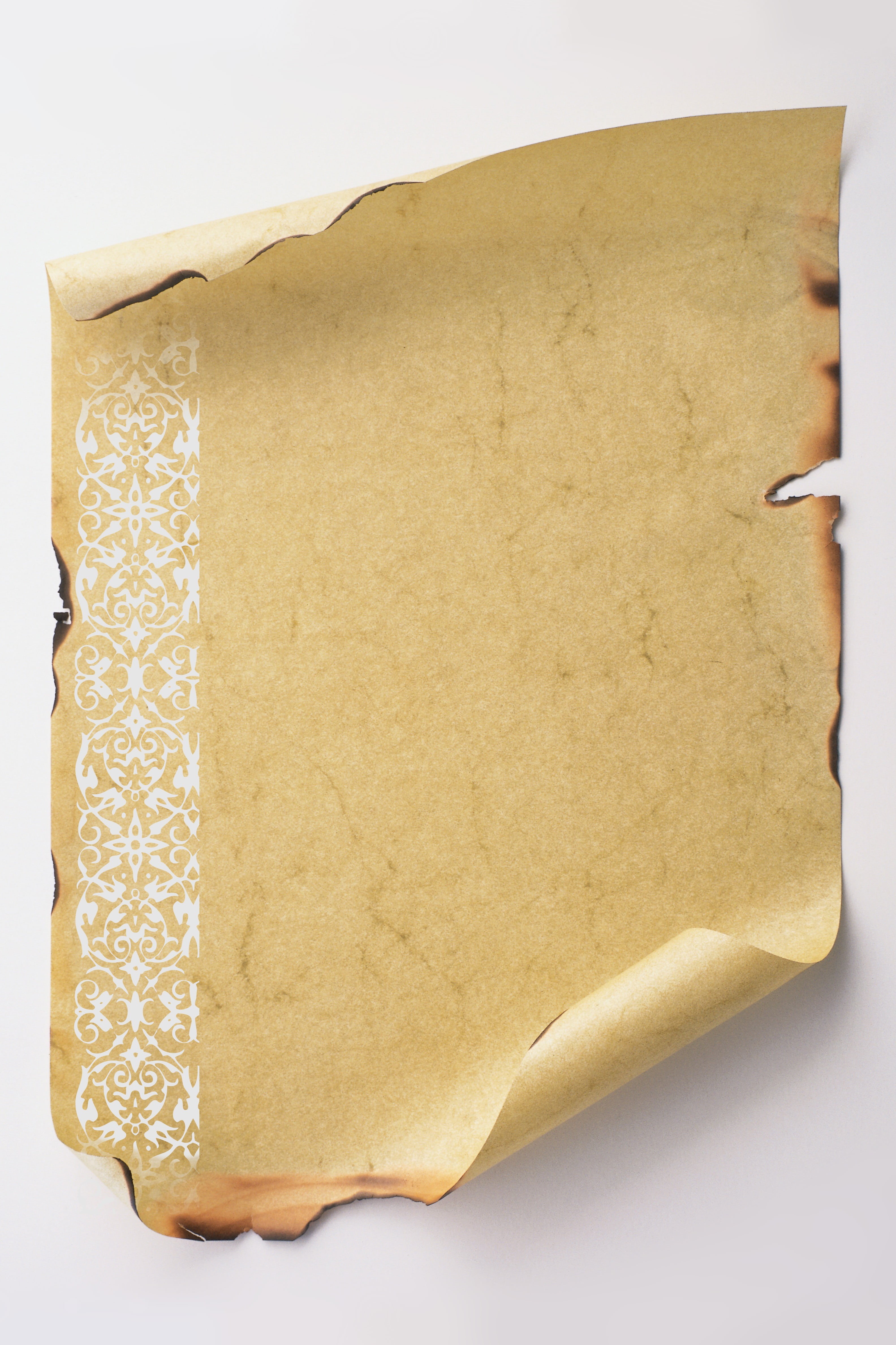 testament, dirt, ornament, old, white background, probative value, brown, backgrounds, paper, trimmed on old, yellow, cut out, 4K, document, close-up, Phone HD Wallpaper