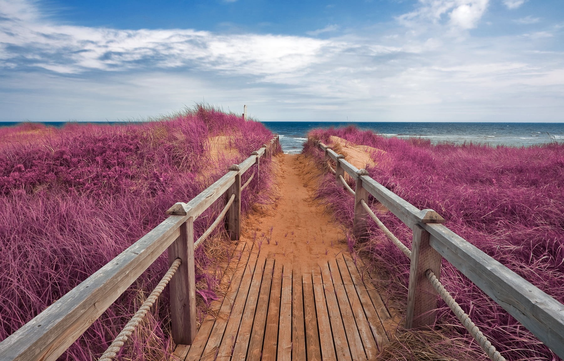 summer, Pink, pretty, beside, Beach, ethereal, blue  orange, tourism, outdoors, scenery, ocean  water, magenta, vivid, sea, coast, clouds, board  walk, HD Wallpaper