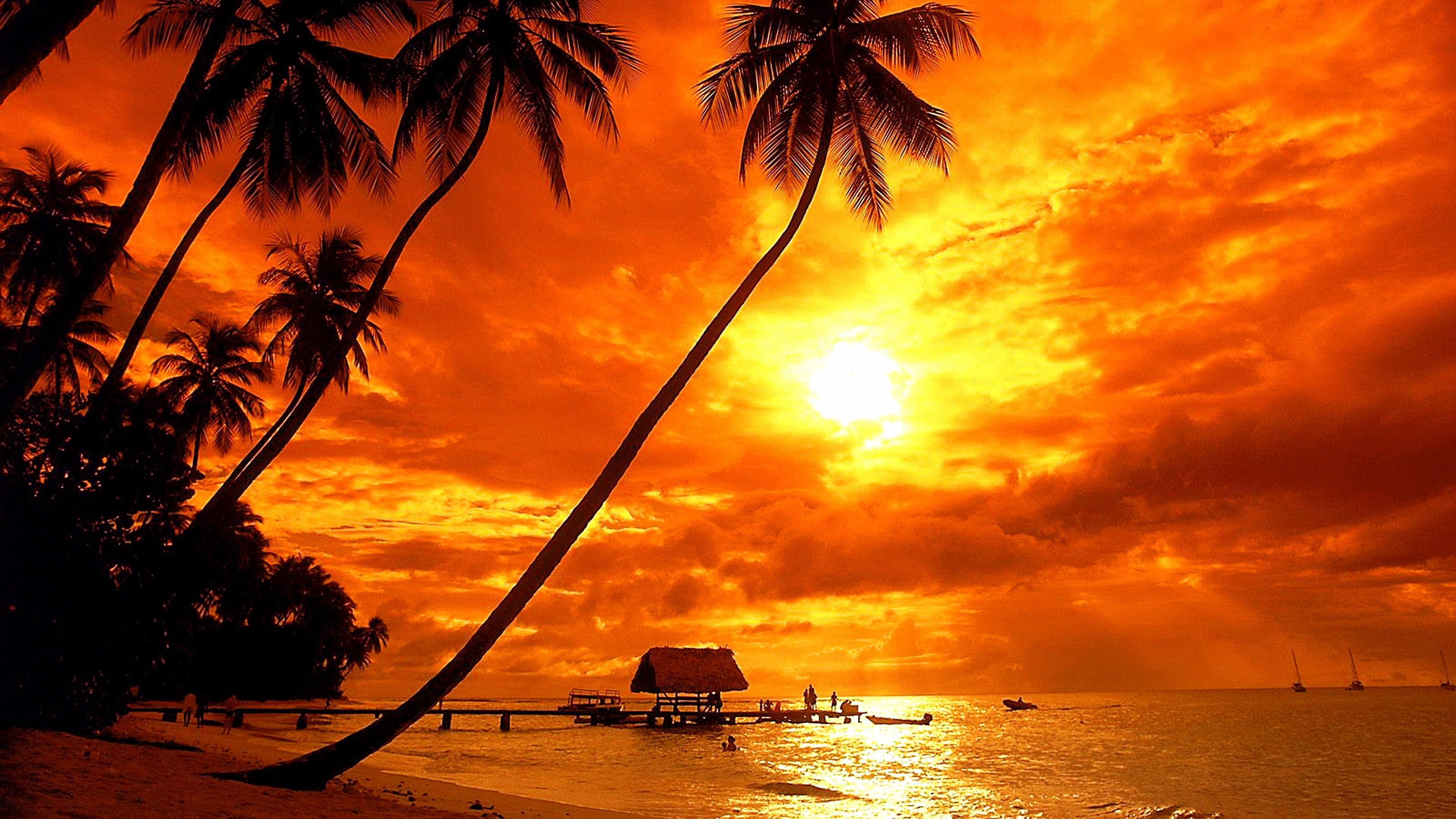 arecales, sunset, pigeon point beach, shore, trinidad and tobago, evening, dusk, palm, tropics, sea, 4K, beach, palm tree, pigeon point, tobago, sun, caribbean islands, HD Wallpaper