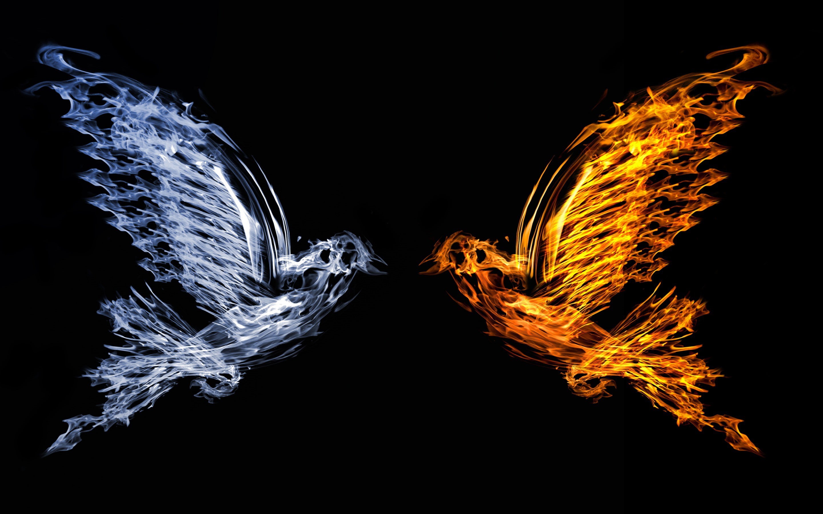 abstract, abstraction, pigeons, black background, 2K, HD Wallpaper