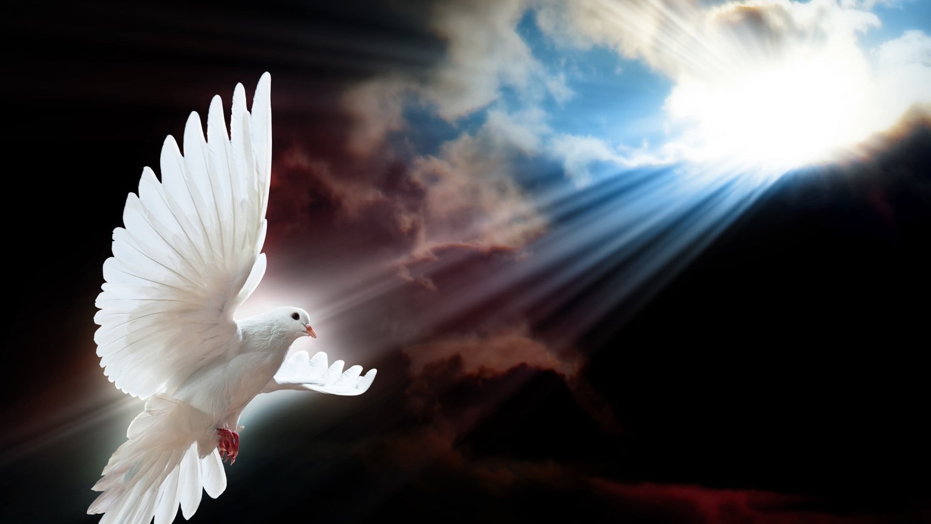 spread wings, symbols of peace, blue, positive emotion, animals in the wild, white, white color, flying, plastic, animal themes, animal, vertebrate, dove, HD Wallpaper