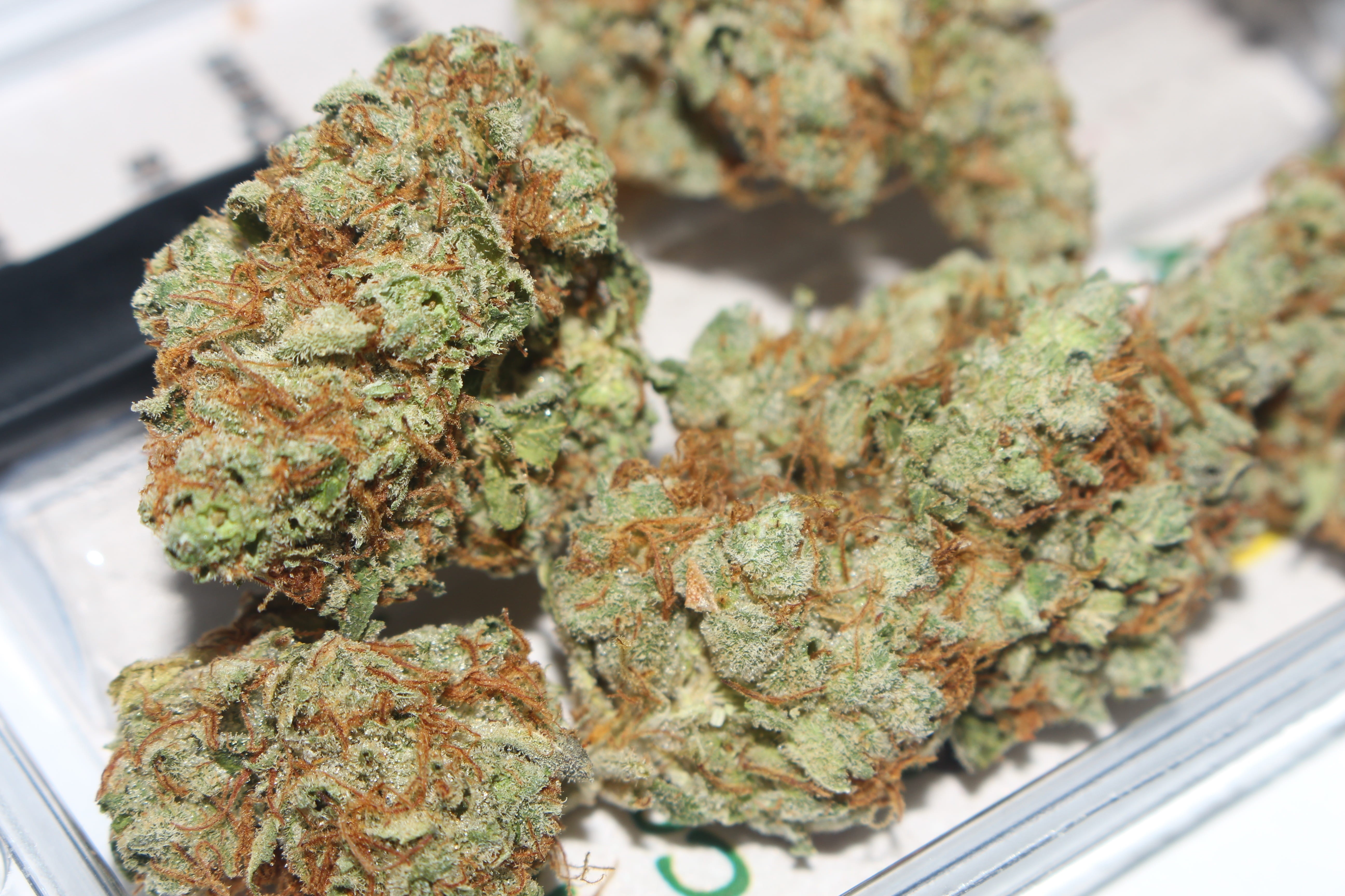 focus on foreground, 420, recreational drug, grass, herbal medicine, food and drink, medical marijuana, kush, stash, indoors, close-up, weed, medicine, HD Wallpaper