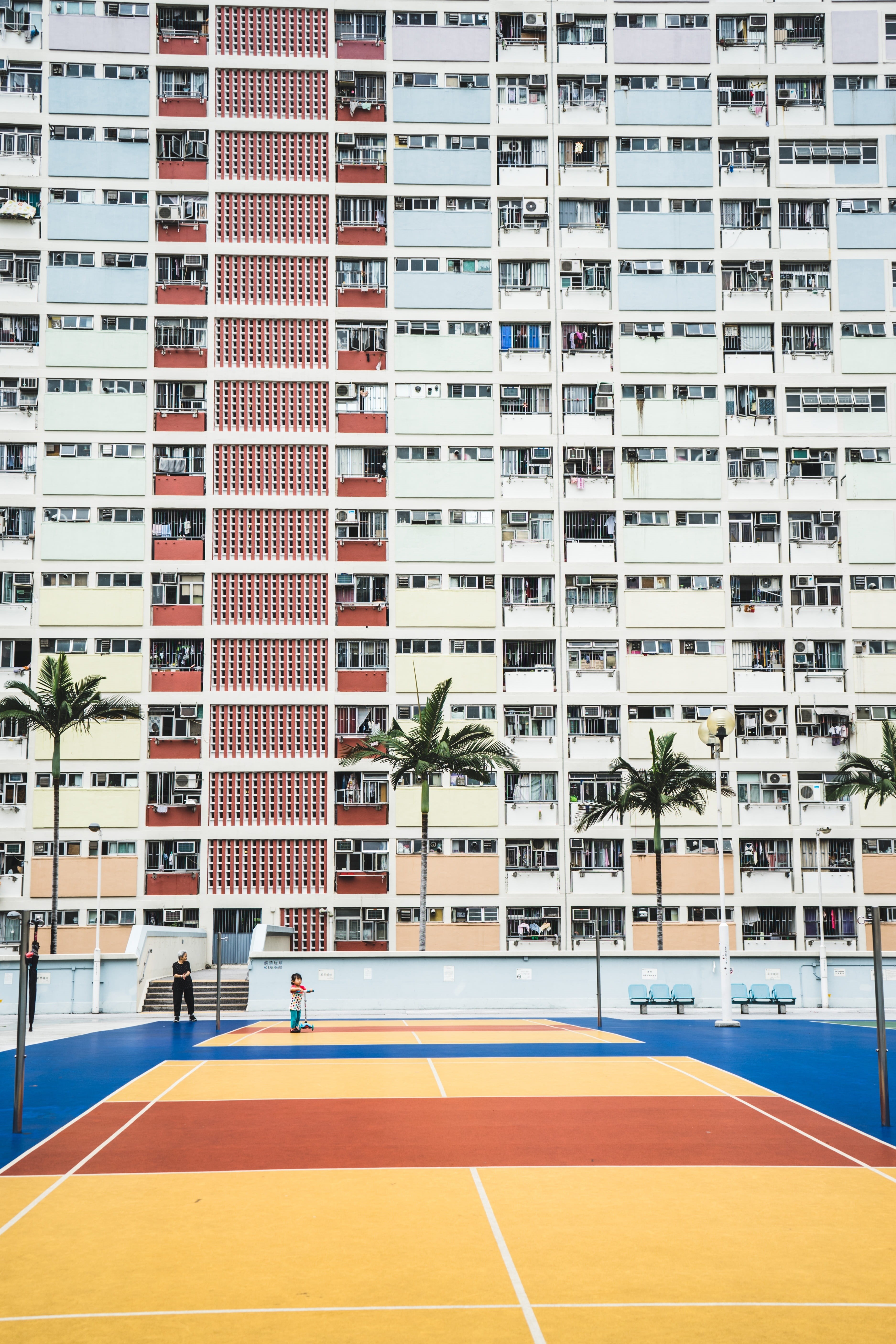 building exterior, sunlight, city, outdoors, trees, panes, windows, residential district, no people, coconut, apartment, absence, building, architecture, Phone HD Wallpaper