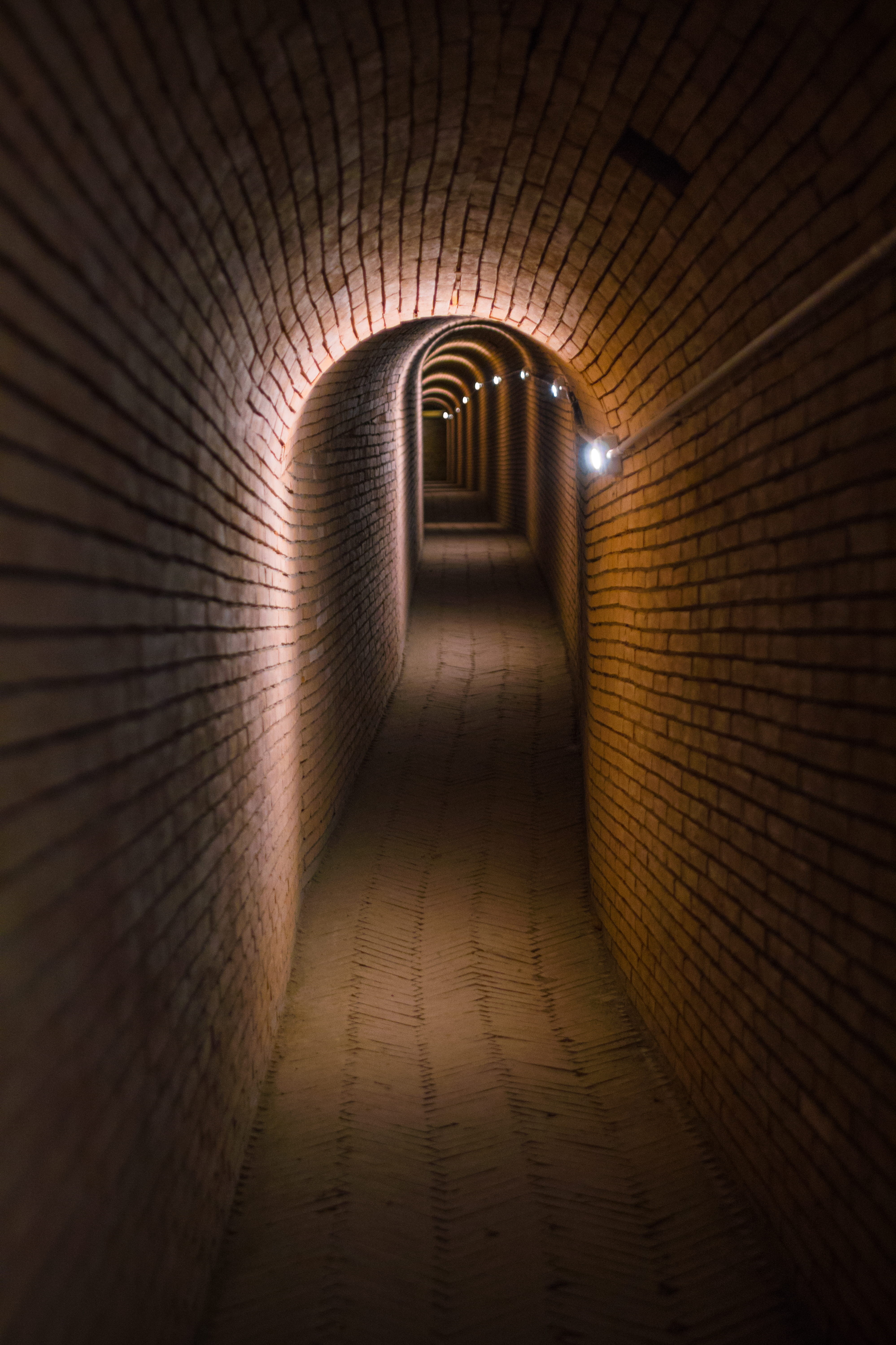 college, arch, prison, concrete, maze, aisle, brown, brick, brick wall, moody, crypt, underground, illuminated, ominous, diminishing perspective, cellar, Phone HD Wallpaper