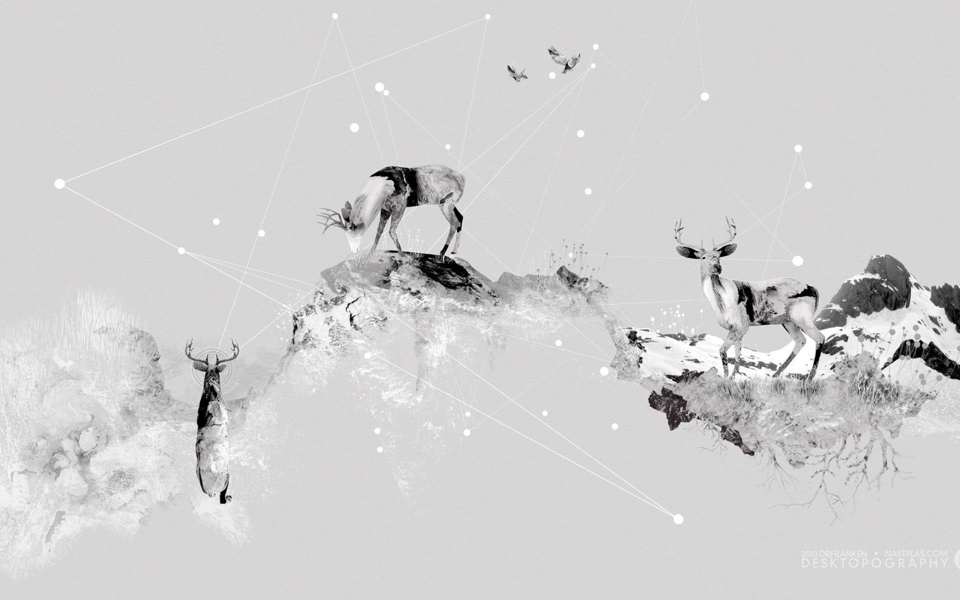 monochrome, broken, studio shot, multiple exposure, reindeer, three, painting, vulnerability, close-up, artwork, deer, misfortune, tree, indoors, HD Wallpaper
