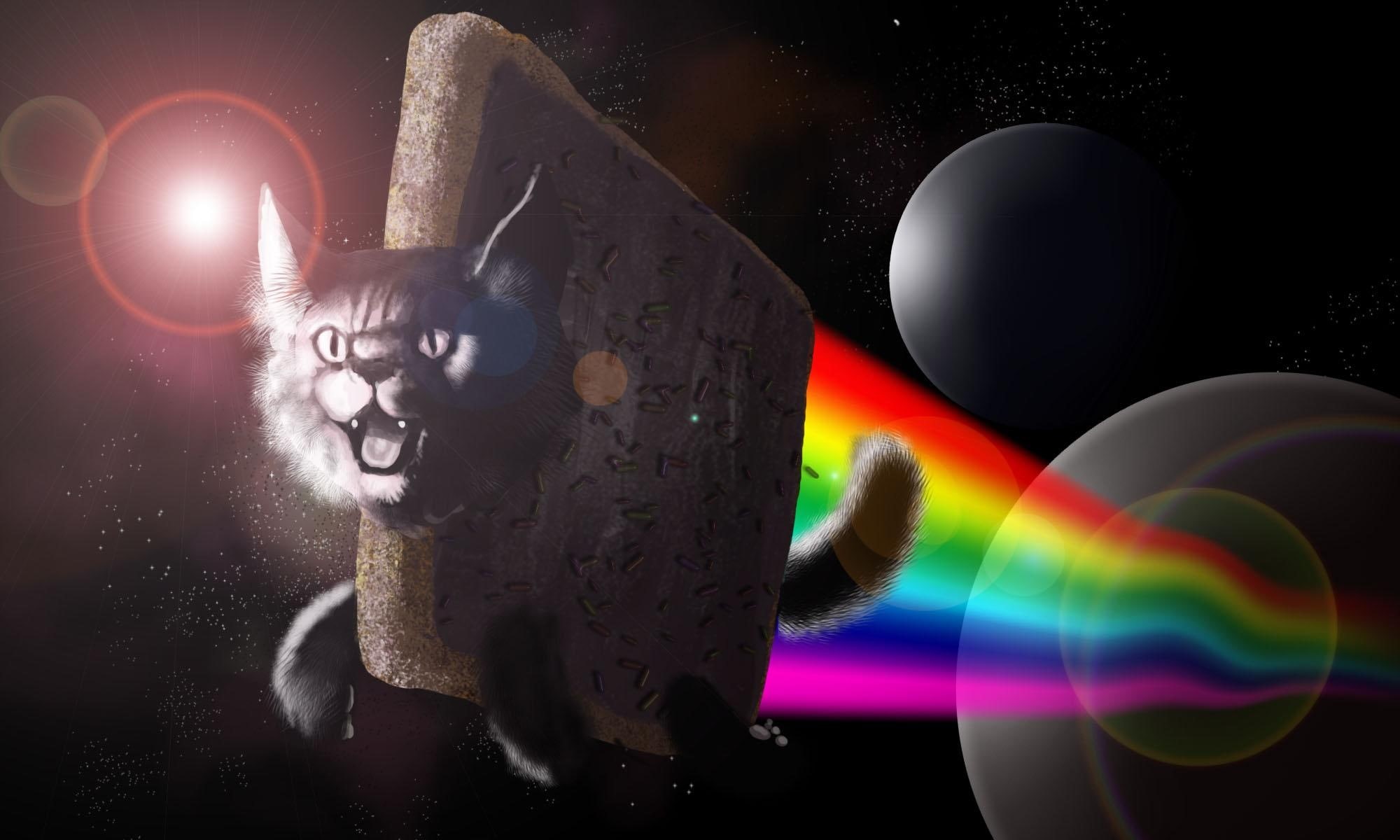 nyan, 1080P, cat, animals, rainbow, poptart, HD Wallpaper