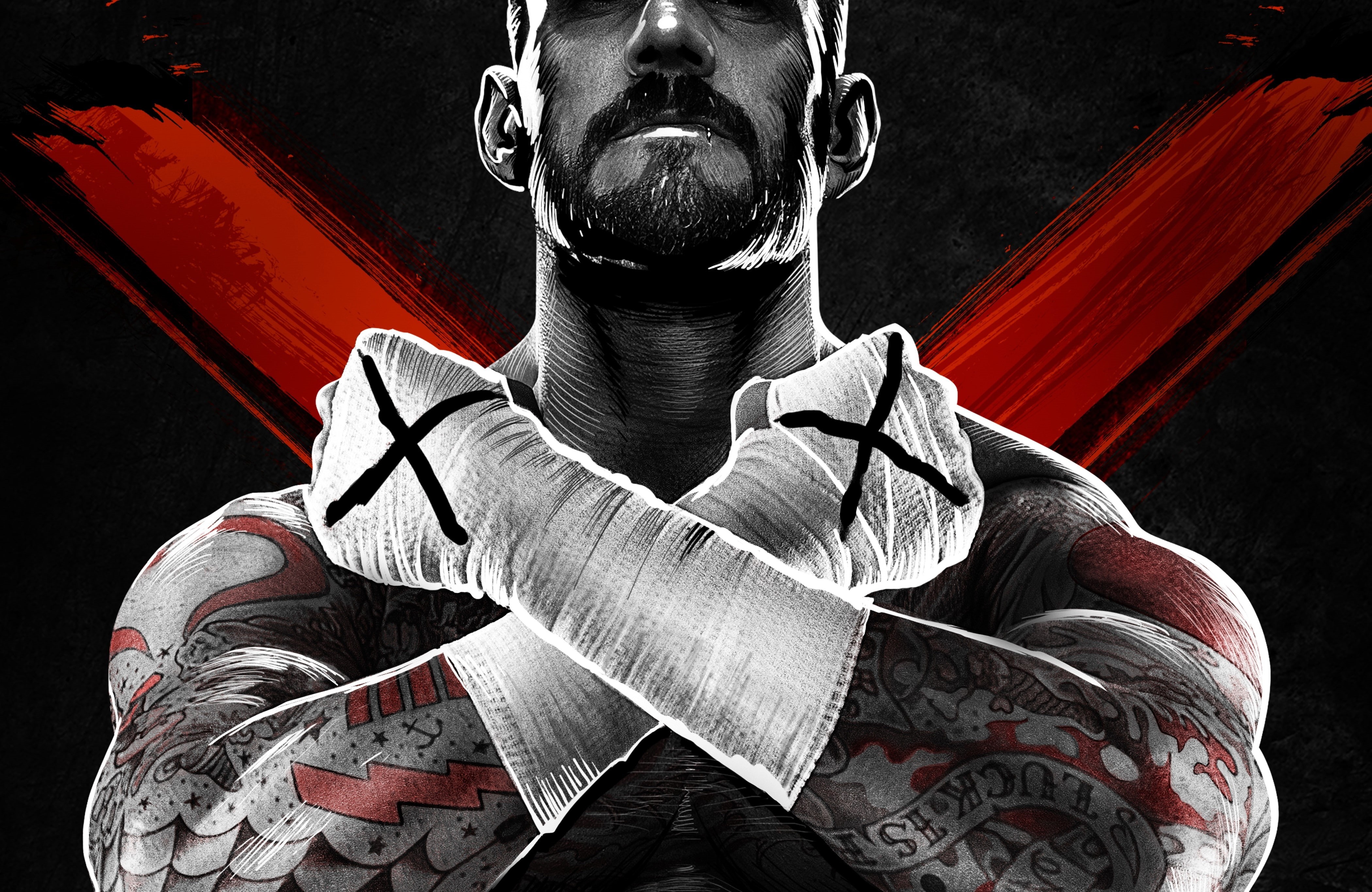 4K, wrestling, cm, sports, world, games, WWE World Wrestling Entertainment, art, wwe, punk, Video Games, hd, entertainment, video, x, HD Wallpaper