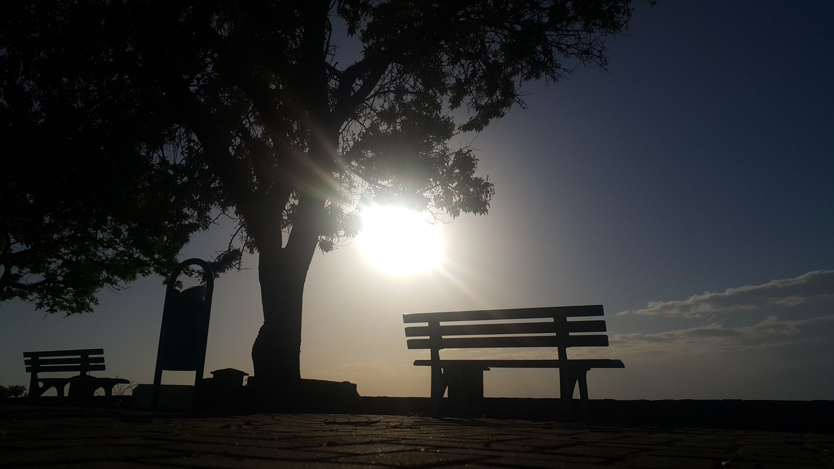 souvenir, park bench, background, pine trees, ship, bank, canakkale, mountain, silhouette, yadav, road, two, bench, tranquil scene, horizon line, no people, HD Wallpaper