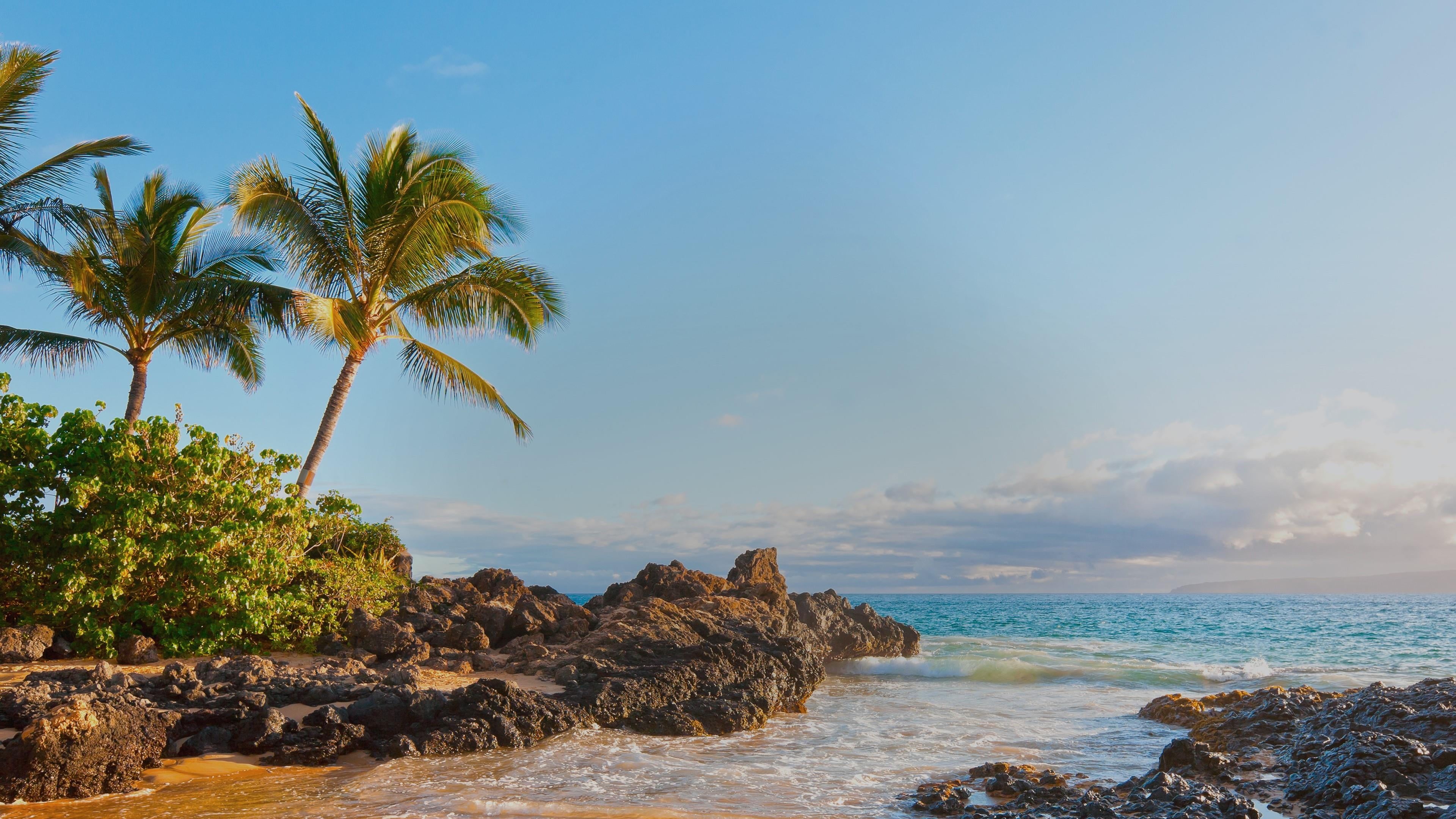 solid, tropics, no people, horizon over water, plant, beauty in nature, outdoors, water, palm tree, scenics - nature, 4K, palms, ocean, tropical, rock, HD Wallpaper