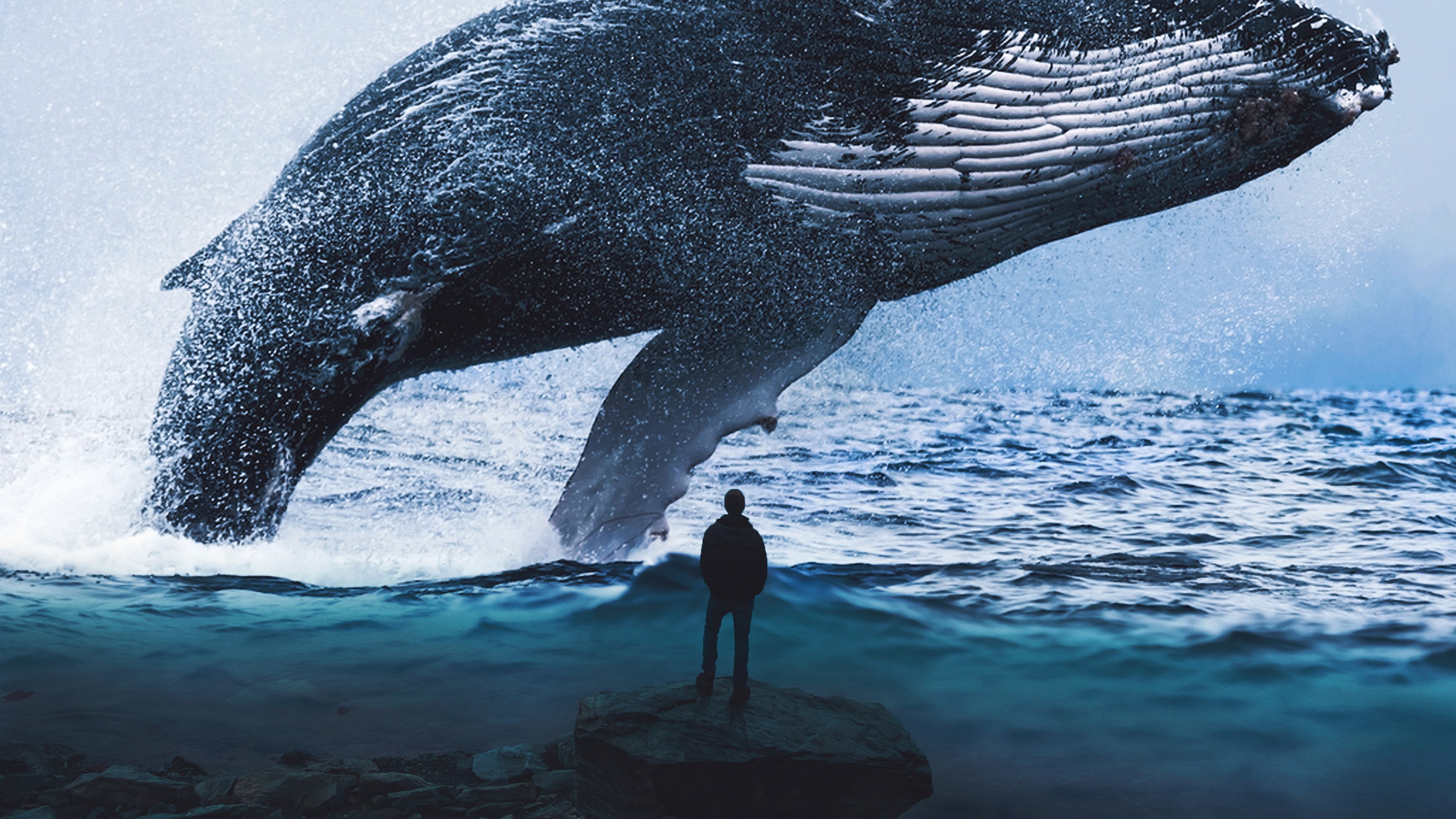 Dream, 4K, Whale, k, Blue, HD Wallpaper