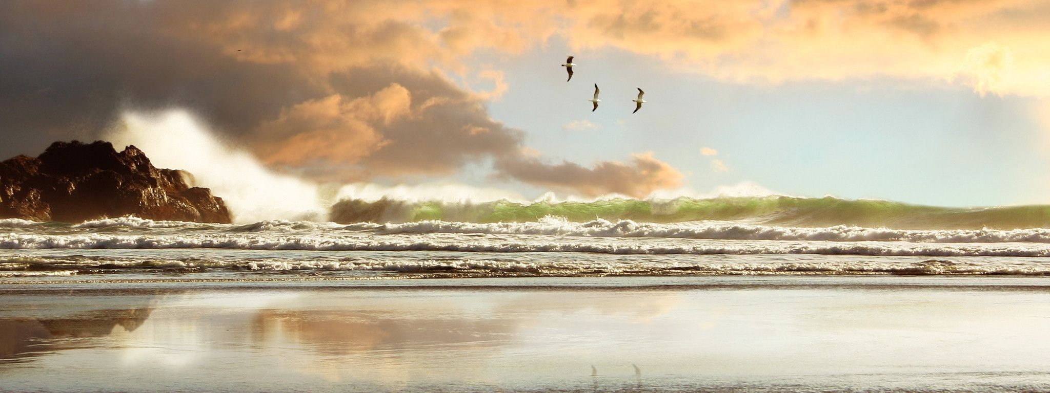 scenics - nature, sky, white, house, wave, painting, vertebrate, waves, rock - object, land, flying, rock, power in nature, sea, motion, beach, 1080P, HD Wallpaper