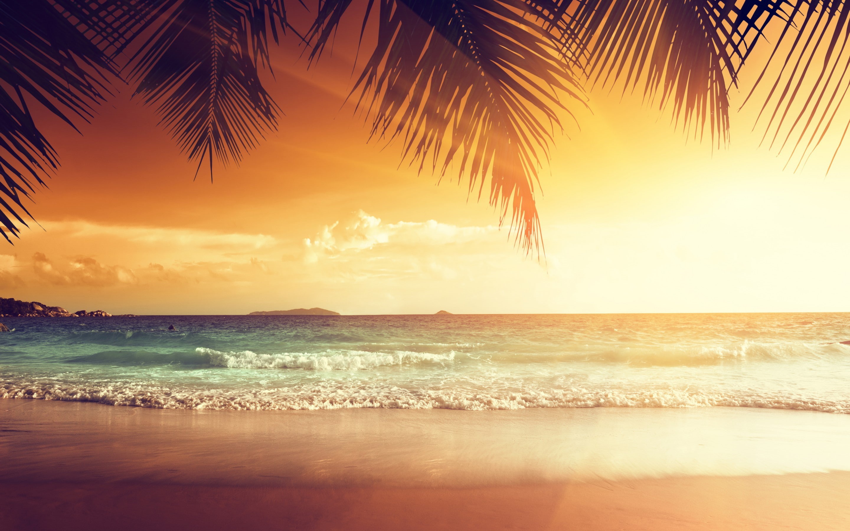 Sea, paradise, Ocean, palm, beach, coast, summer, 2K, tropical, sand, Sunset, HD Wallpaper