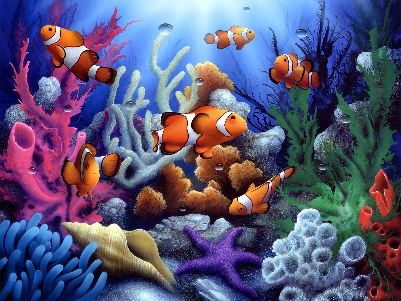 Fish, Underwater, 720P, Colorful, Coral, HD Wallpaper