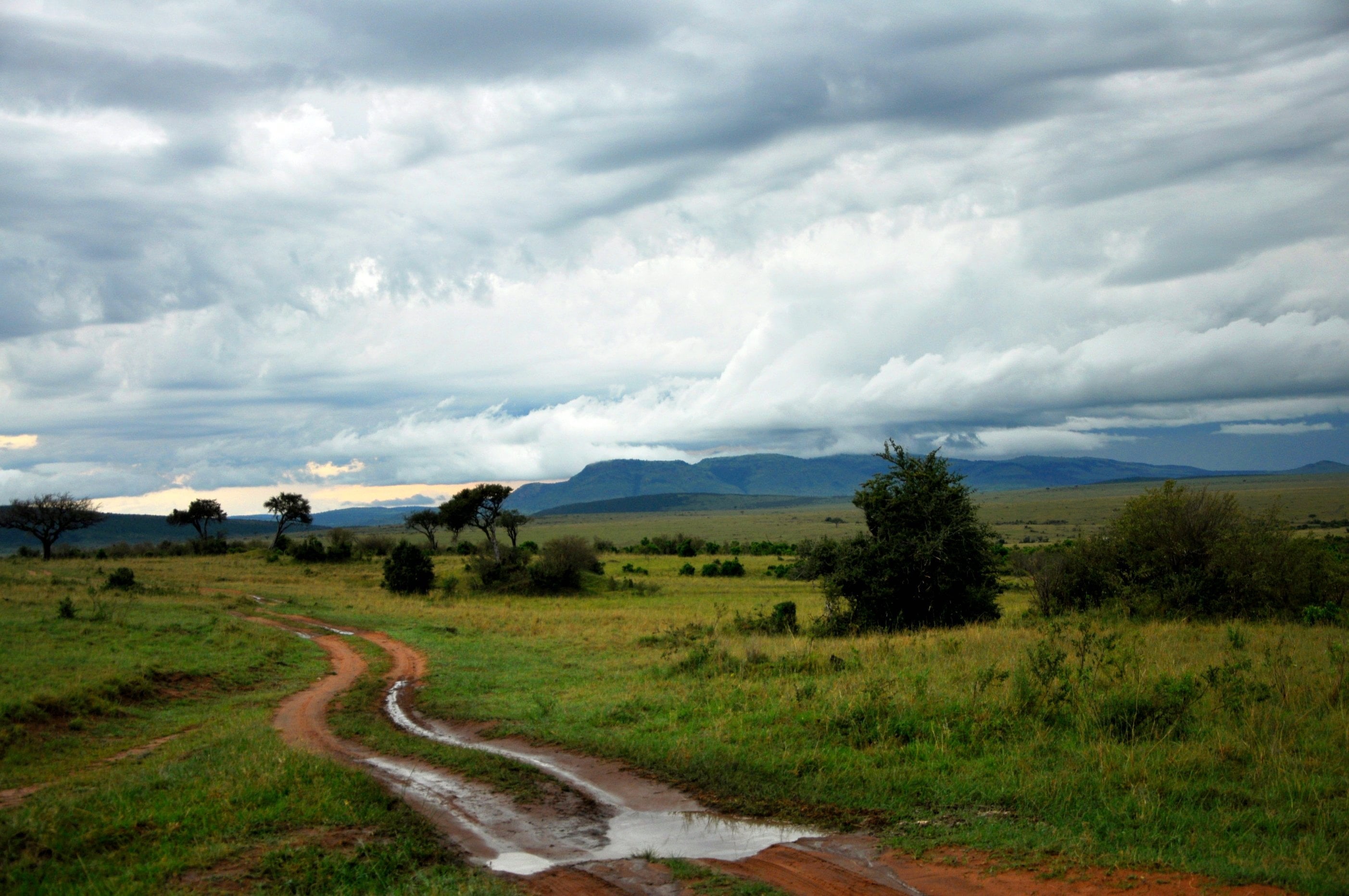 nature, photography, 2K, path, savanna, tanzania, cloud - Sky, grass, serengeti, field, road, africa, Picnik, sky, summer, landscape photography, green, HD Wallpaper