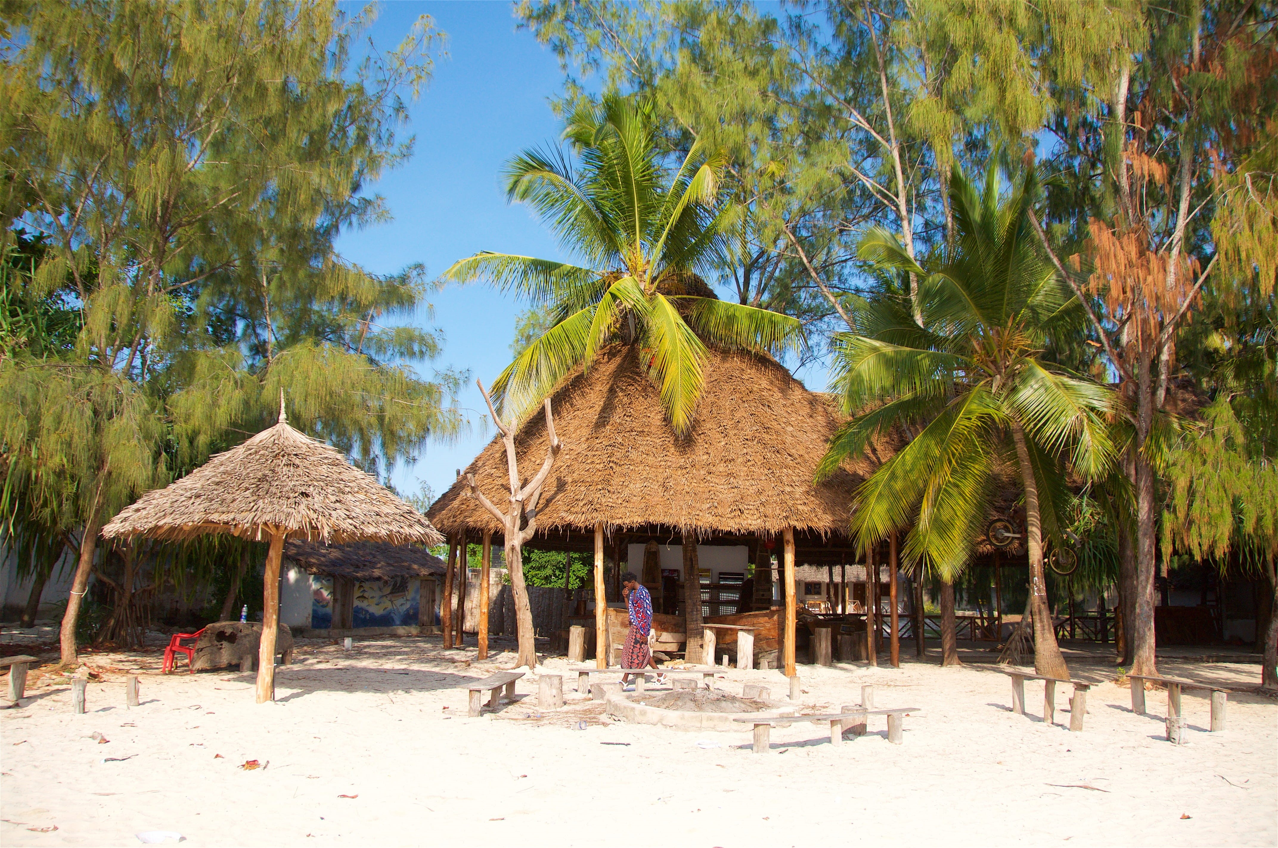 tree, hut, architecture, built structure, growth, sky, house, beach, tropical climate, 4K, Zanzibar, palm tree, land, Tanzania, plant, sunlight, building exterior, HD Wallpaper