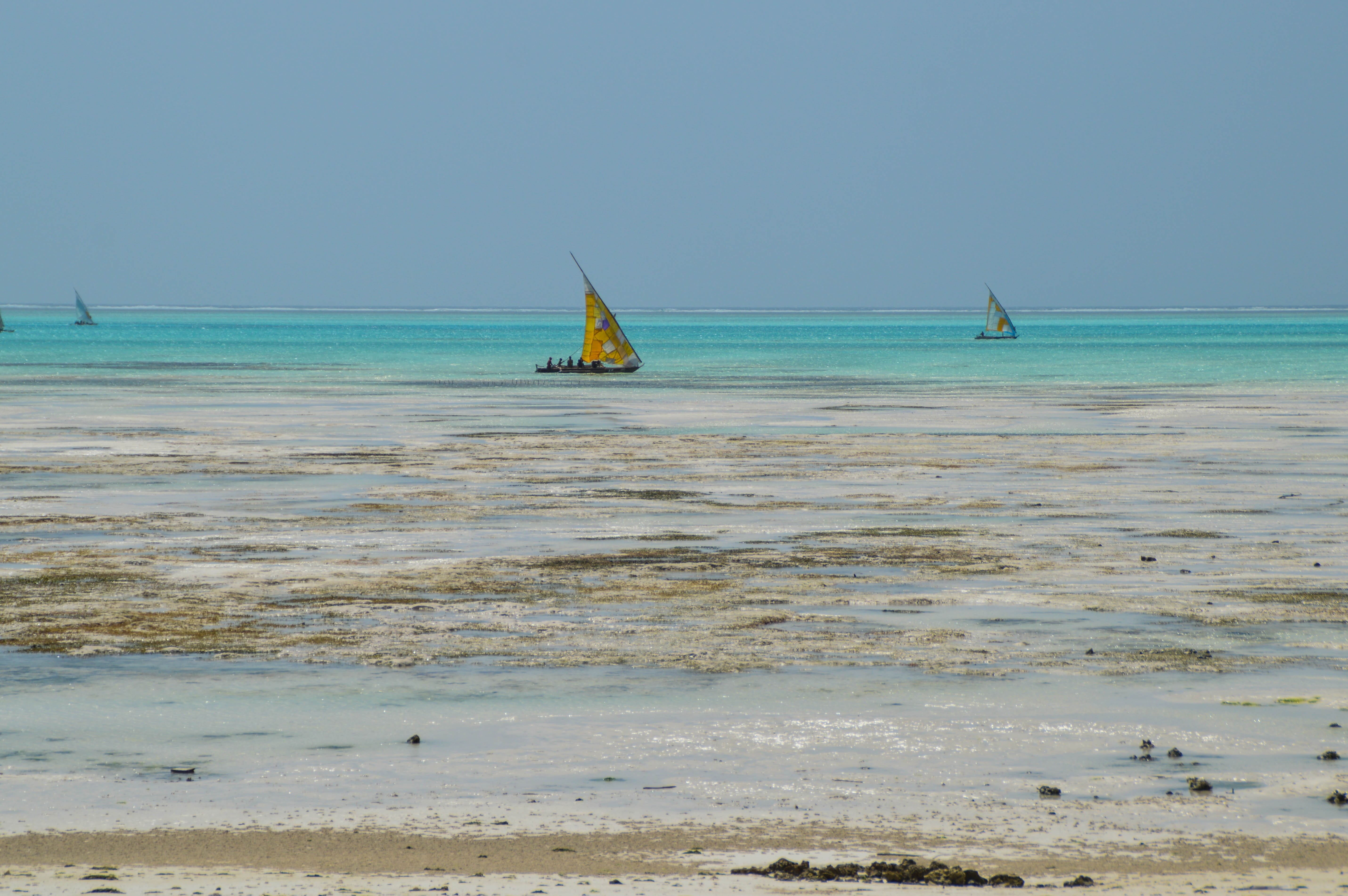 land, africa, world, water, nautical vessel, beauty in nature, transportation, 5K, tranquility, beach, tanzania, horizon over water, sky, mode of transportation, HD Wallpaper