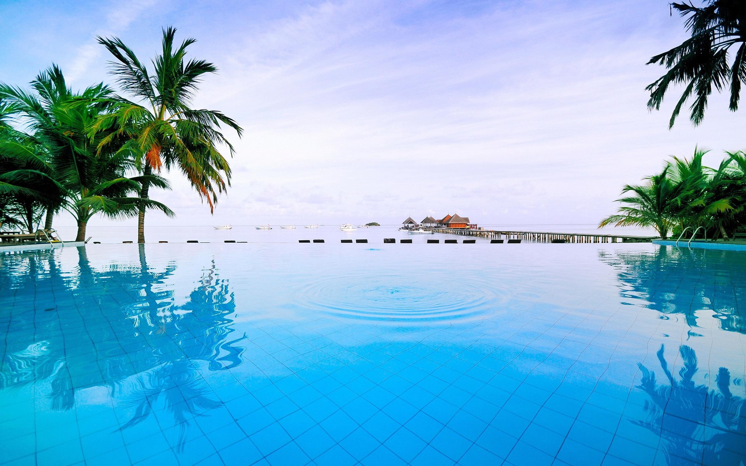 beach, 2K, pool, nature, resort, maldives, HD Wallpaper