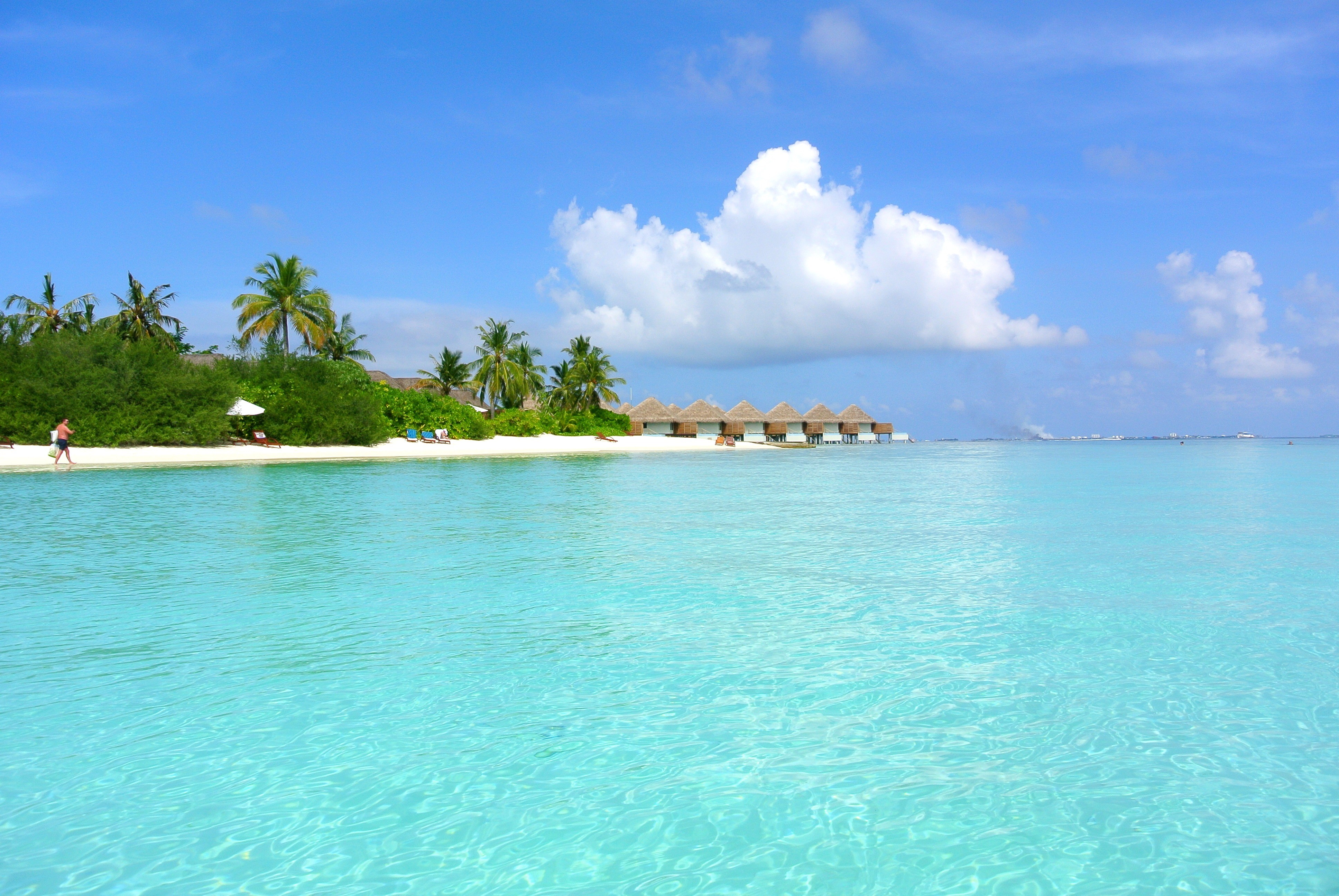 beach, idyllic, waterfront, sea, beauty in nature, sand, swimming pool, outdoors, lagoon, photography, daytime, no people, maldives, palm Tree, travel Destinations, HD Wallpaper