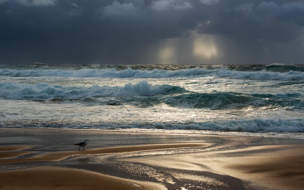 ocean, sky, water, beach, scenics - nature, non-urban scene, wave, 720P, Australia, overcast, nature, cloud - sky, waves, sea, Sydney, power in nature, HD Wallpaper