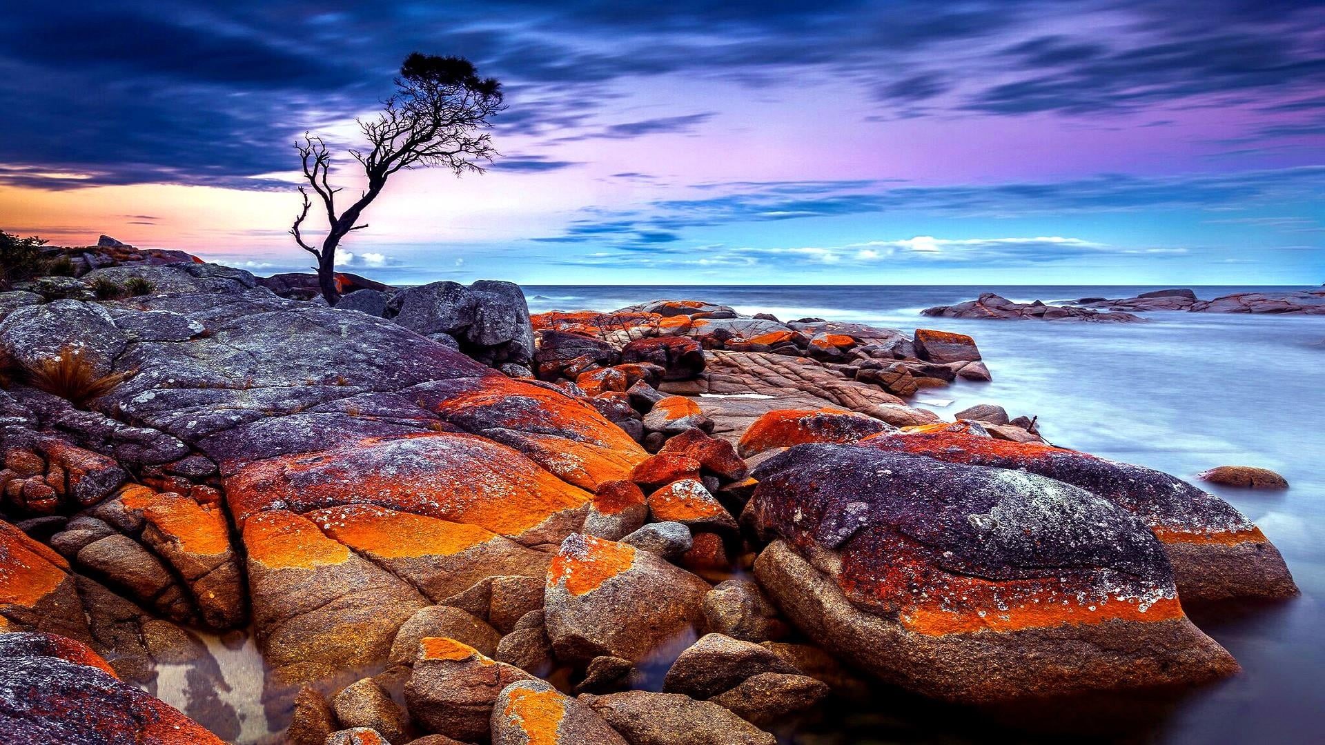beauty in nature, 1080P, sky, horizon over water, rock, tranquility, beach, sunset, australia, cloud - sky, landscape, scenery, long exposure, solid, tree, HD Wallpaper