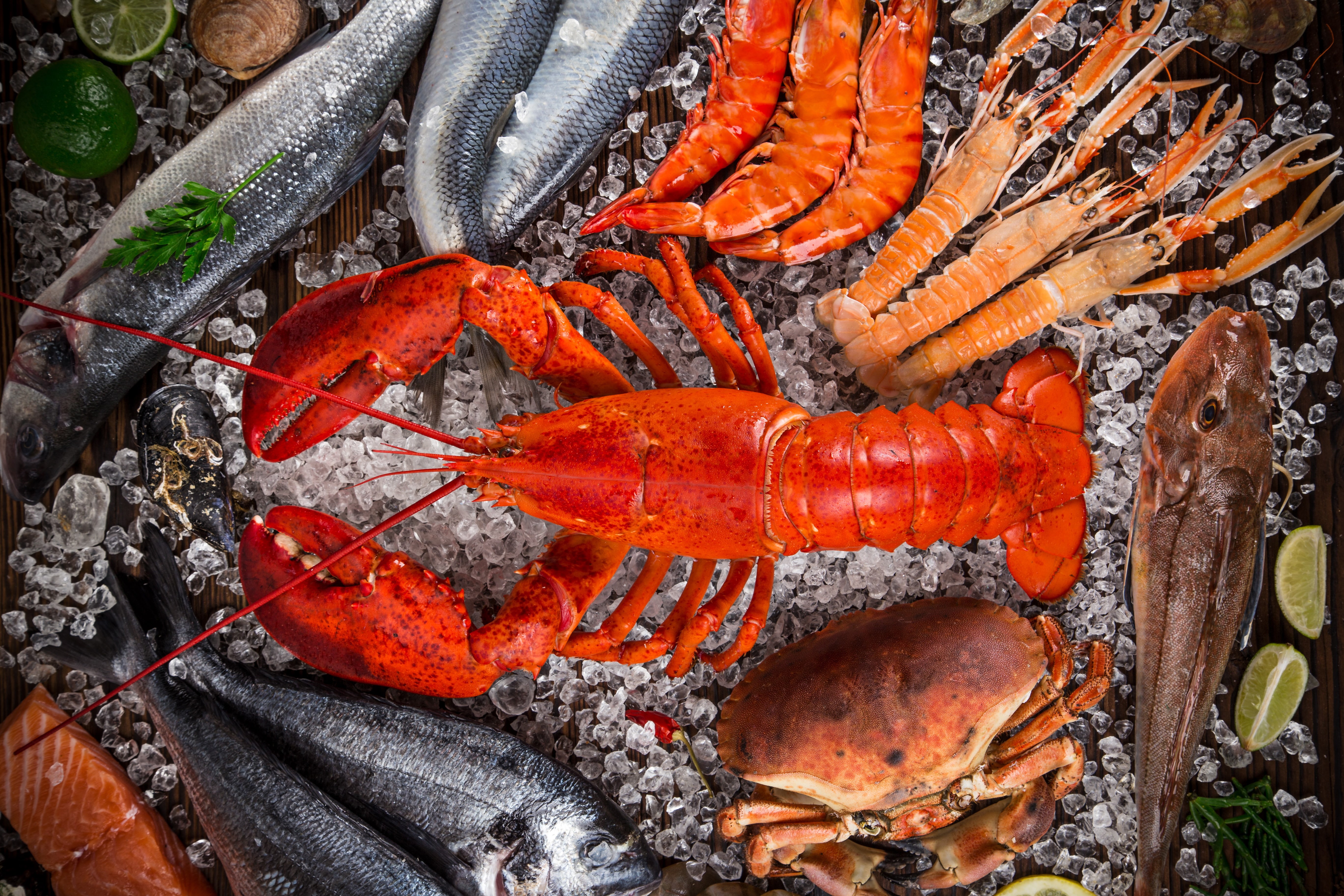 5K, Food, Crayfish, Seafood, Fish, Lobster, Crab, Still Life, HD Wallpaper