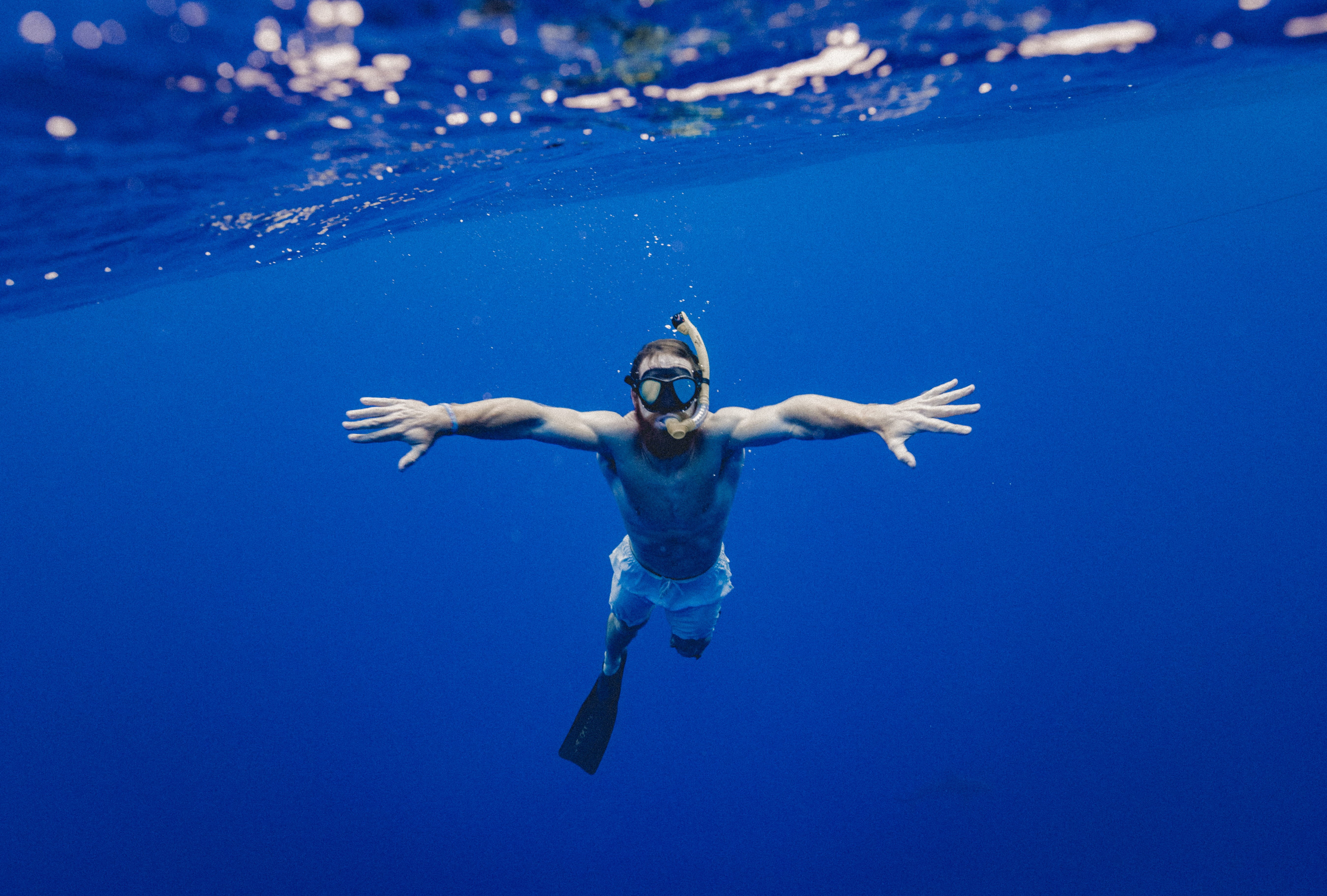 snorkling, lifestyles, real people, sea, one Person, vacations, outdoors, 5K, sport, action, human arm, leisure Activity, one animal, snorkeling, looking at camera, HD Wallpaper