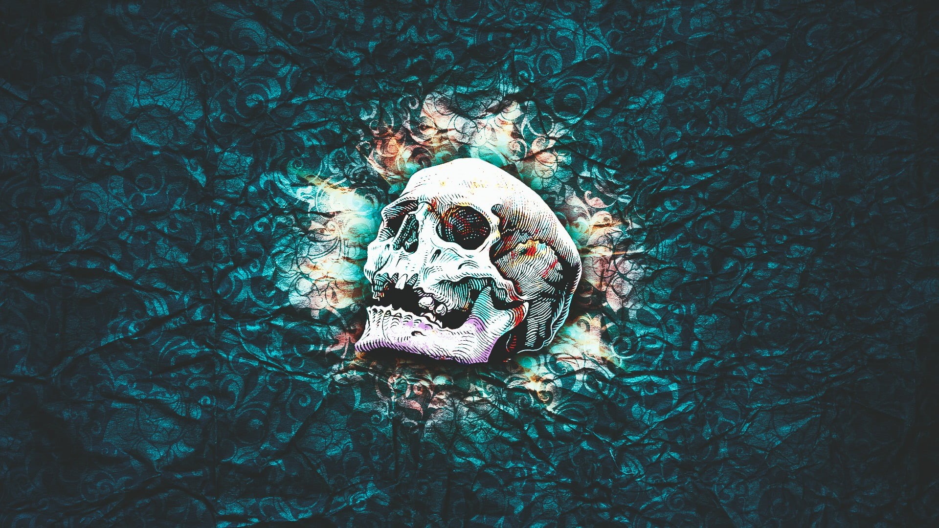 animal themes, high angle view, no people, pattern, skull and bones, animal skull, plant, close-up, abstract, bone, waterfront, painting, texture, skull, HD Wallpaper