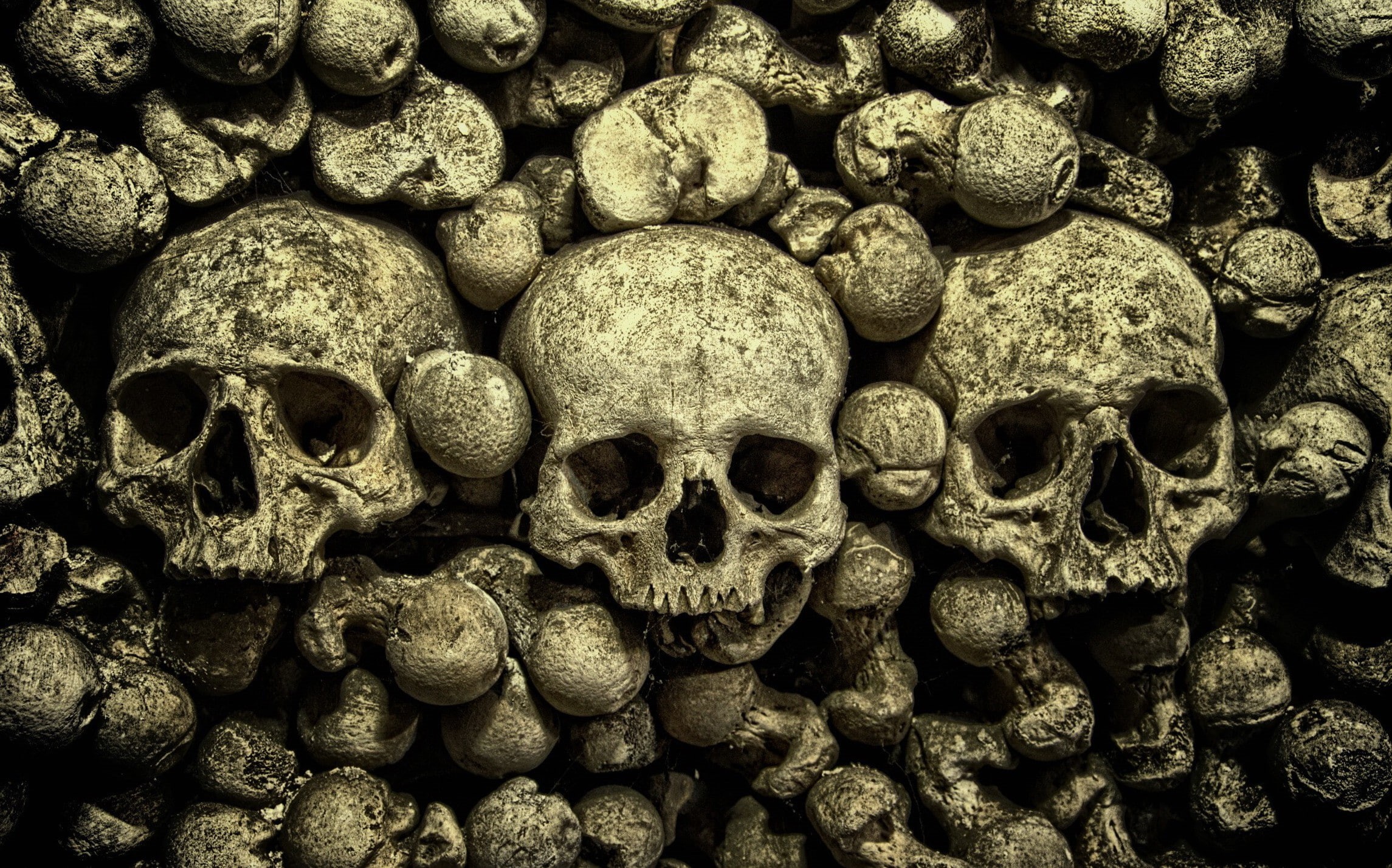 human skeleton, human bone, large group of objects, history, stack, architecture, close-up, bone, the past, abundance, 1080P, bones, skeleton, backgrounds, HD Wallpaper