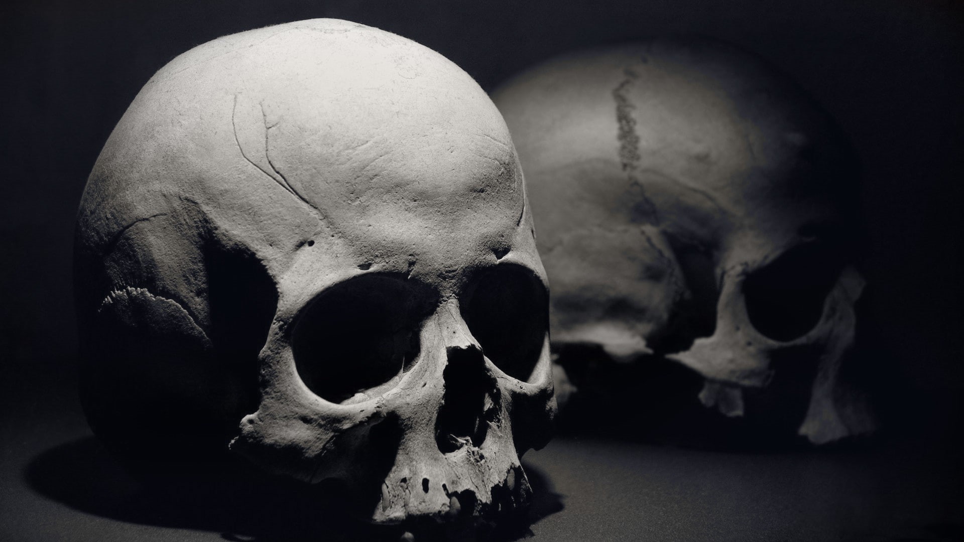 anatomy, human bone, skeleton, spooky, indoors, human body part, healthcare and medicine, human skull, bone, close-up, the past, bones, human skeleton, HD Wallpaper