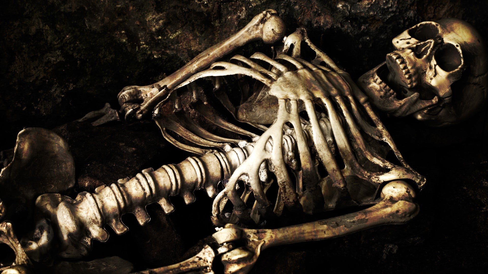 1080P, skeleton, skull, bones, HD Wallpaper
