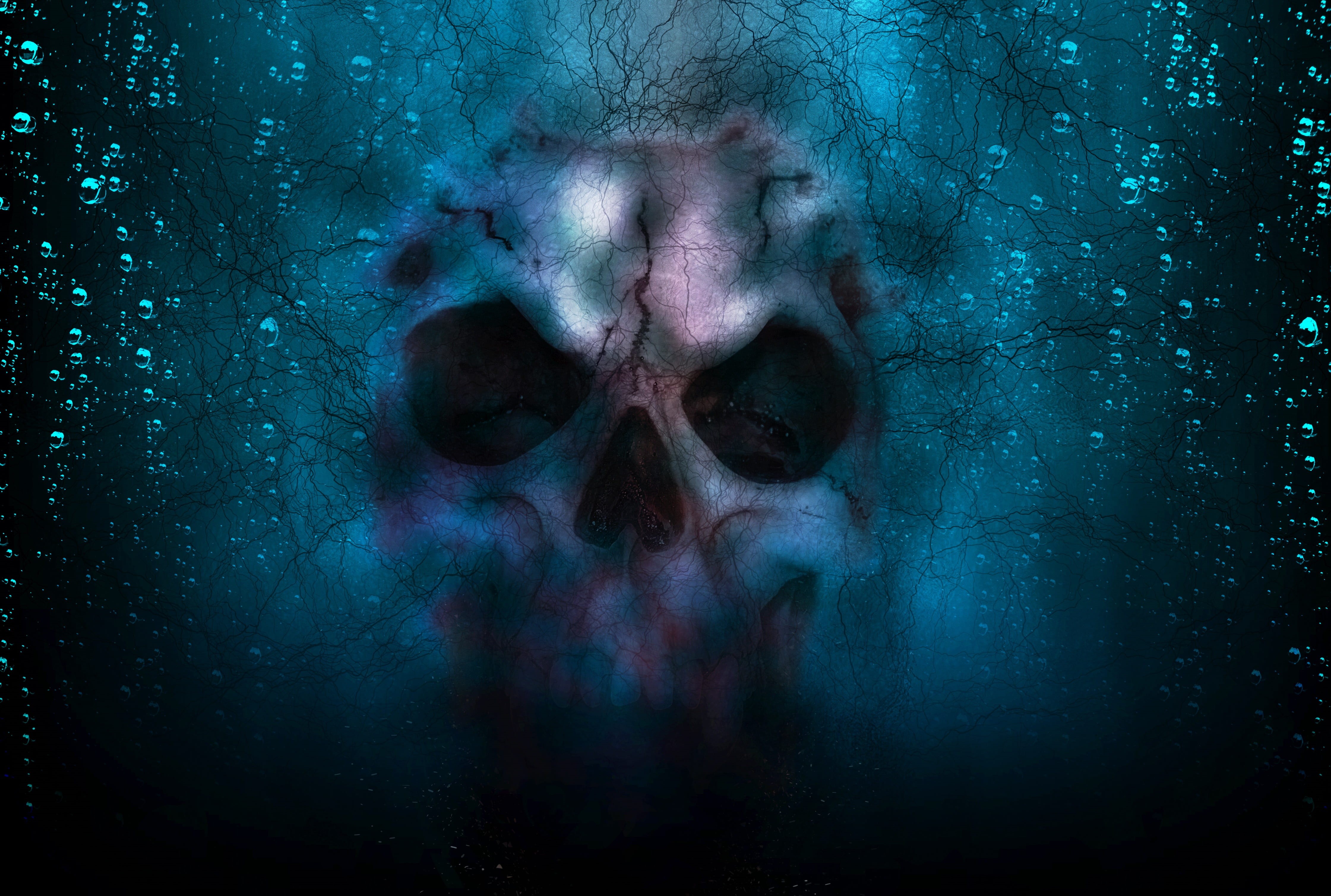 head, scary, digital composite, bone, gray, gothic, horror, blue, human face, skeleton, face, shock, 4K, death, halloween, celebration, close-up, human body part, HD Wallpaper