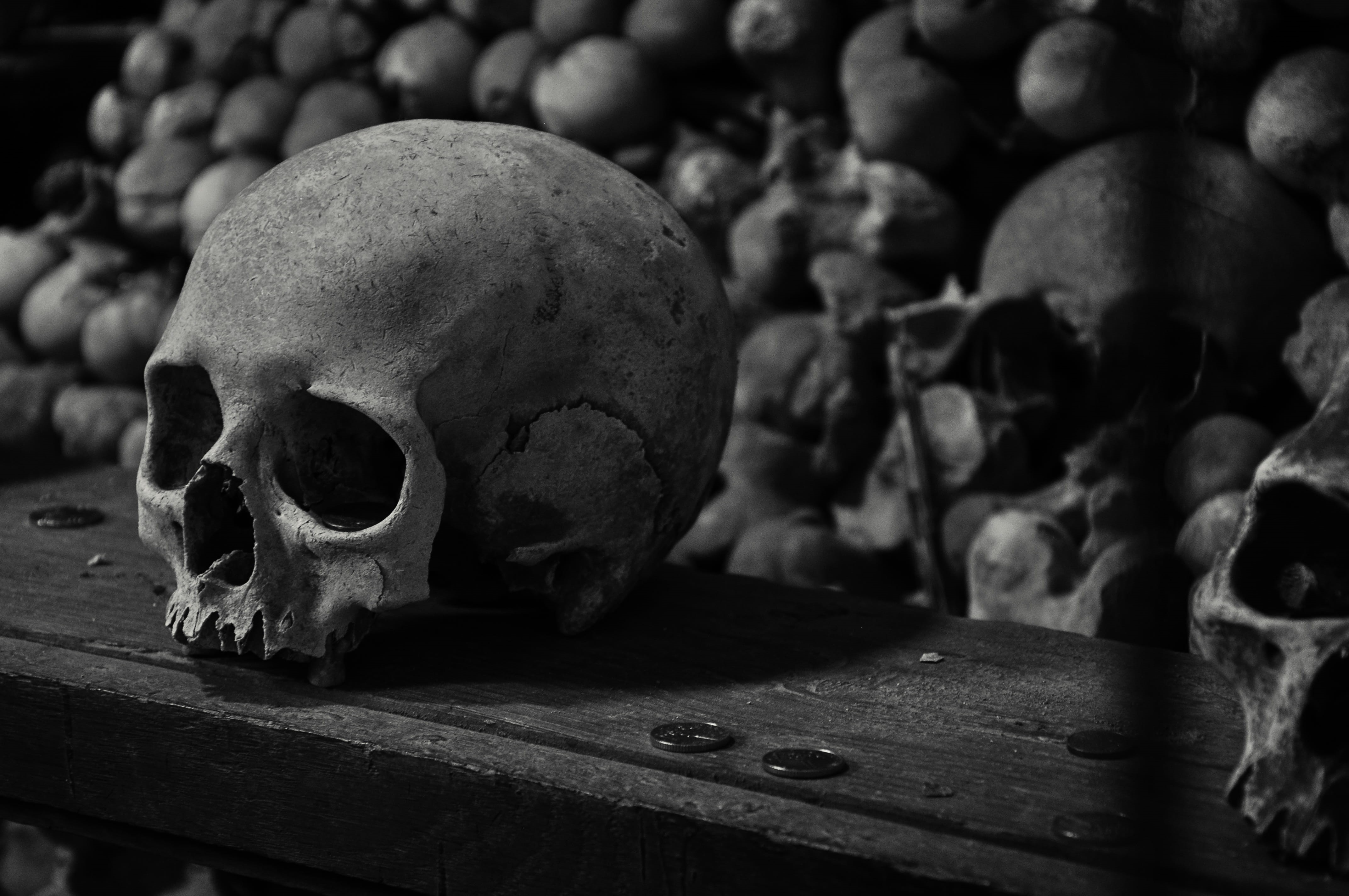 photography, death, christianity, czech, ossuary, human, indoors, human bone, skull, still life, cemetery, halloween, horror, wall, kutna hora, human skeleton, HD Wallpaper