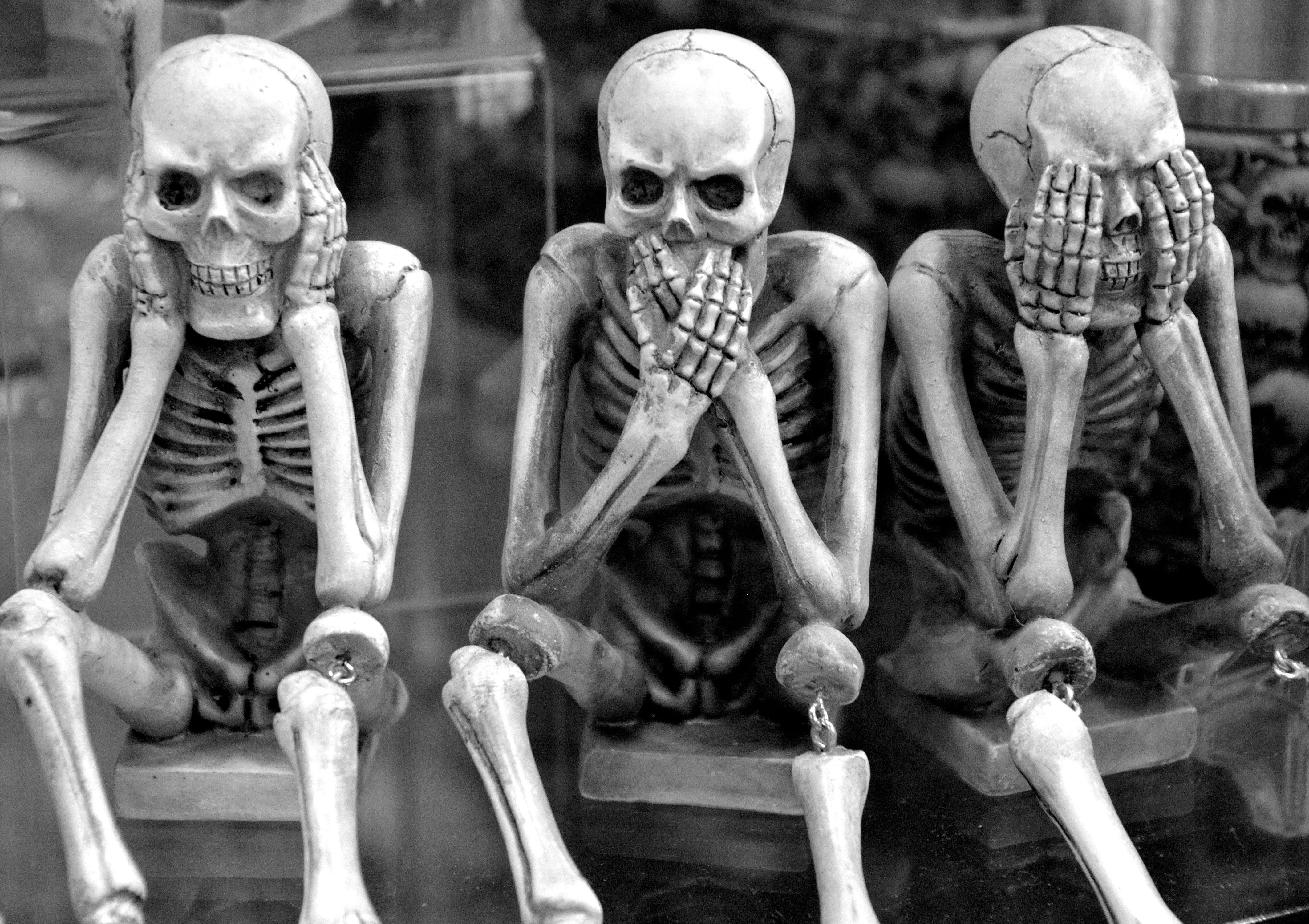 comical, skeletons, hear no evil, funny, male likeness, horror, halloween, skull, scary, representation, corpse, monochrome, human representation, indoors, HD Wallpaper