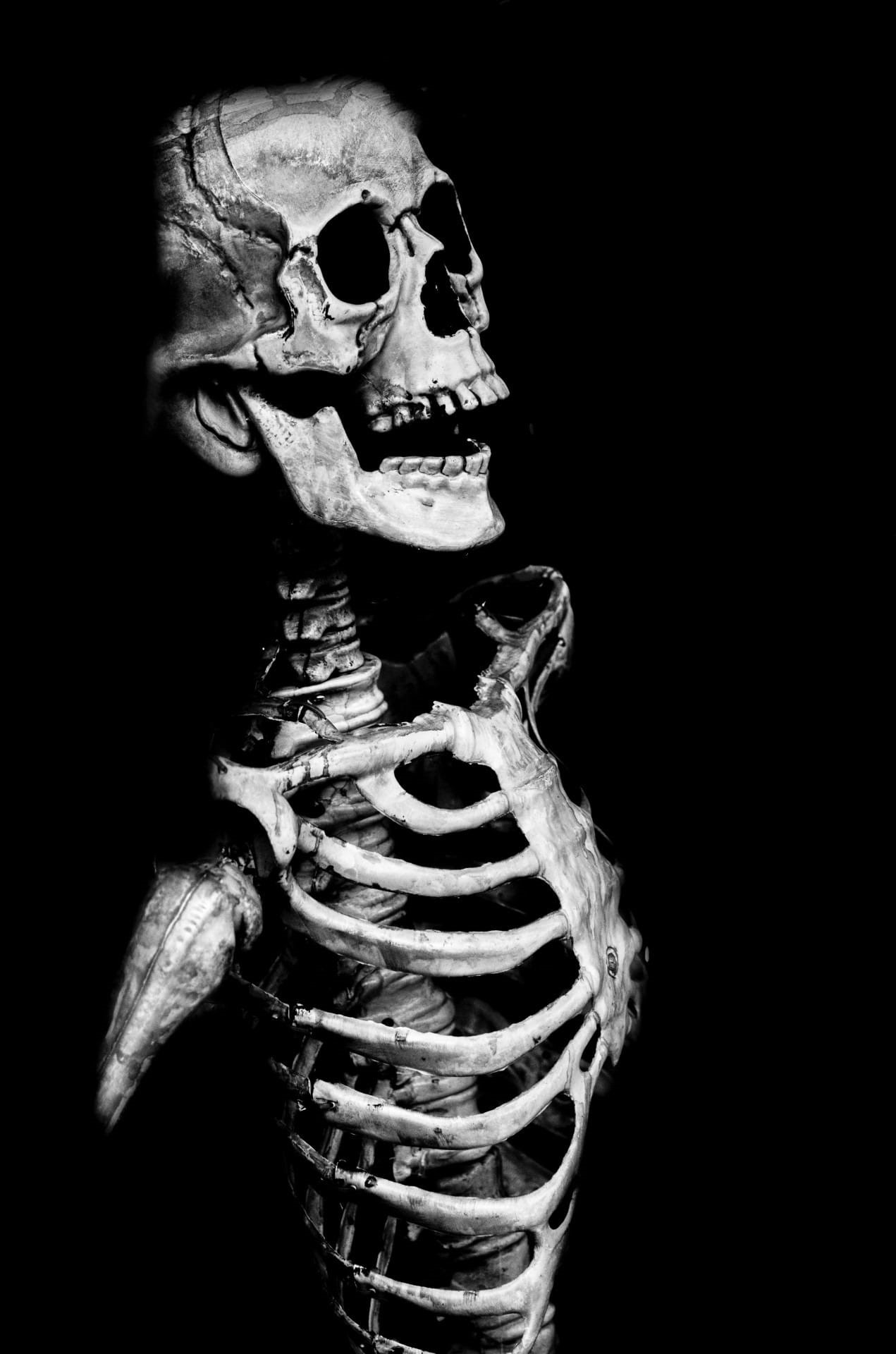 human, spooky, copy space, halloween, human skeleton, human bone, studio shot, holidays, representation, mask, scary, indoors, shadow, bones, gray scale, Phone HD Wallpaper