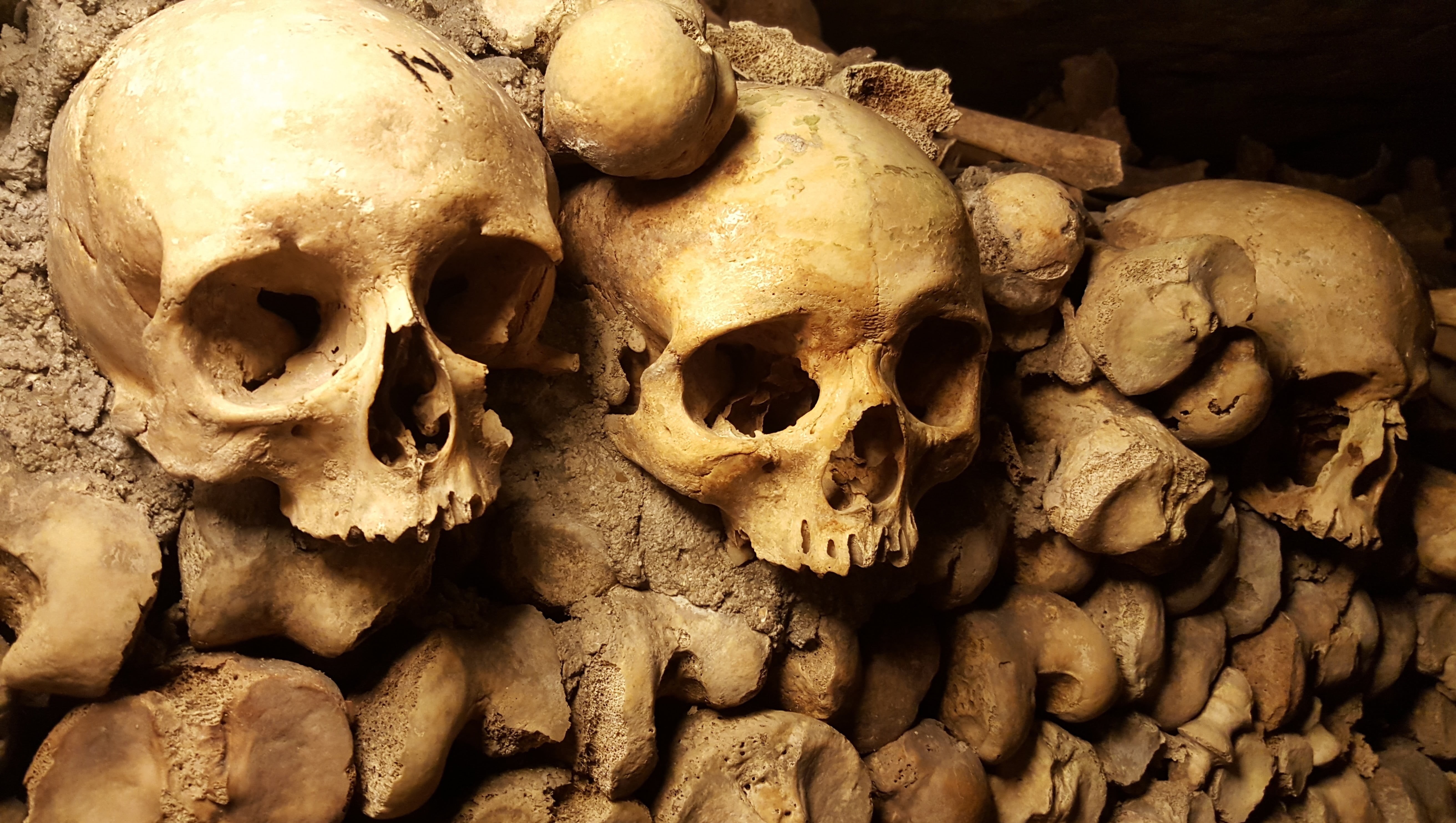 religion, spooky, halloween, ancient, horror, human skeleton, bone, skeleton, skulls, archaeology, the past, scary, 5K, architecture, human bone, skull, HD Wallpaper