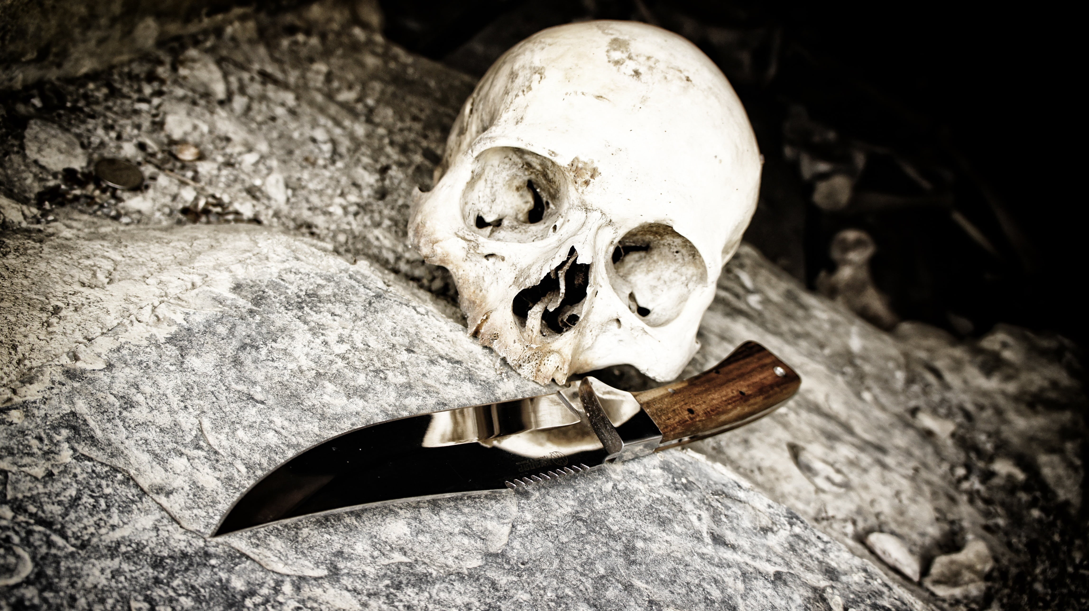 surface, death, brown, people, human Bone, fear, skull, 4K, halloween, body part, gray, bone, still life, spooky, skeleton, horror, history, concrete, HD Wallpaper