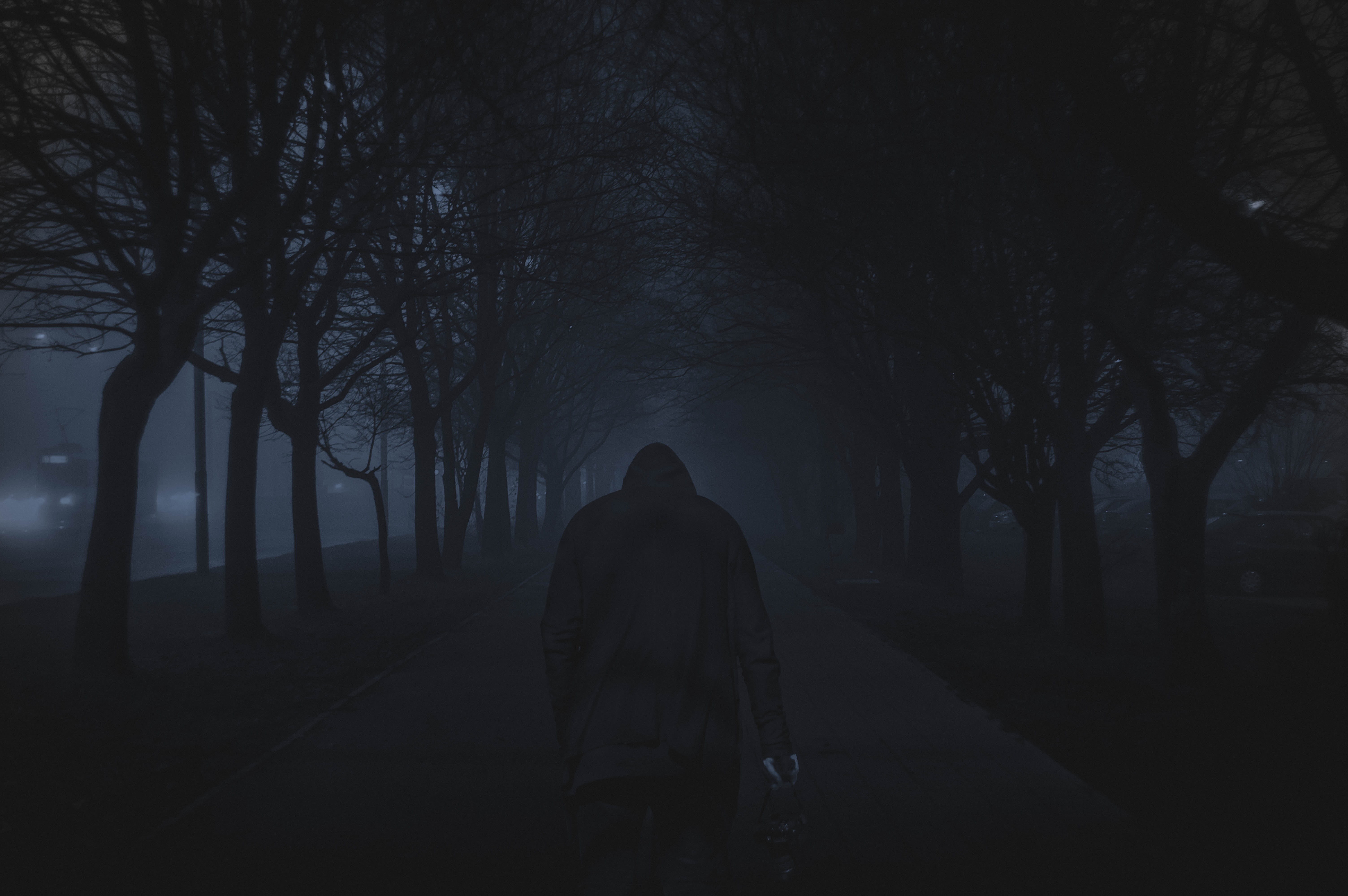 nature, the way forward, men, night, forest, solitude, lifestyles, full length, people, tree, person, real people, plant, dark, footpath, road, street, HD Wallpaper