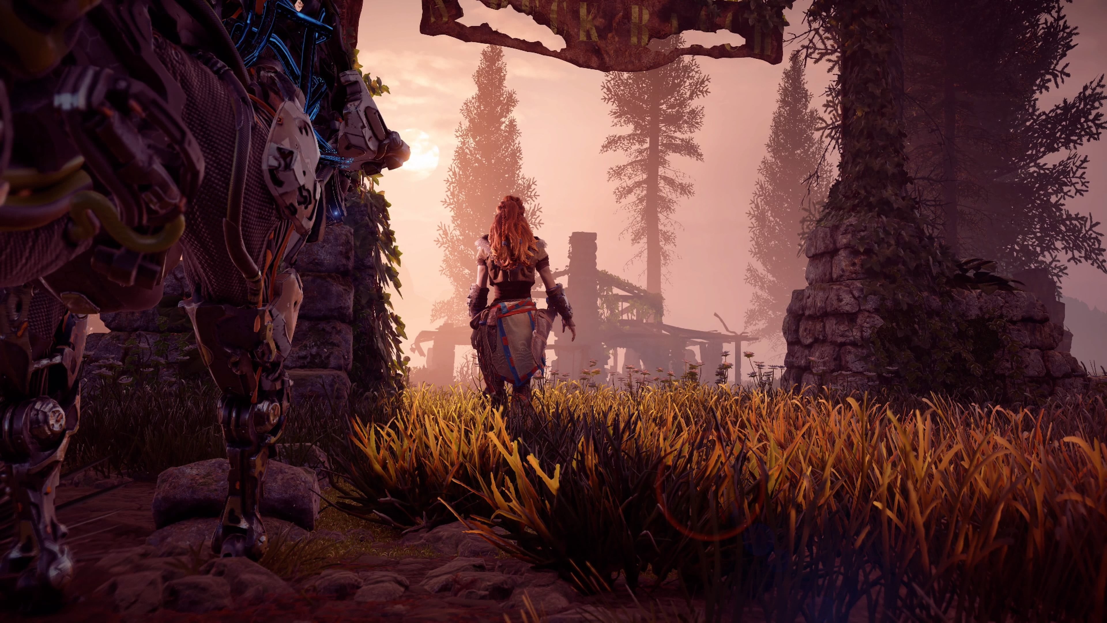 outdoors, sky, tranquility, videogame, Horizon: Zero Dawn, Aloy (Horizon: Zero Dawn), landscape, growth, field, PlayStation 4, plant, environment, HD Wallpaper