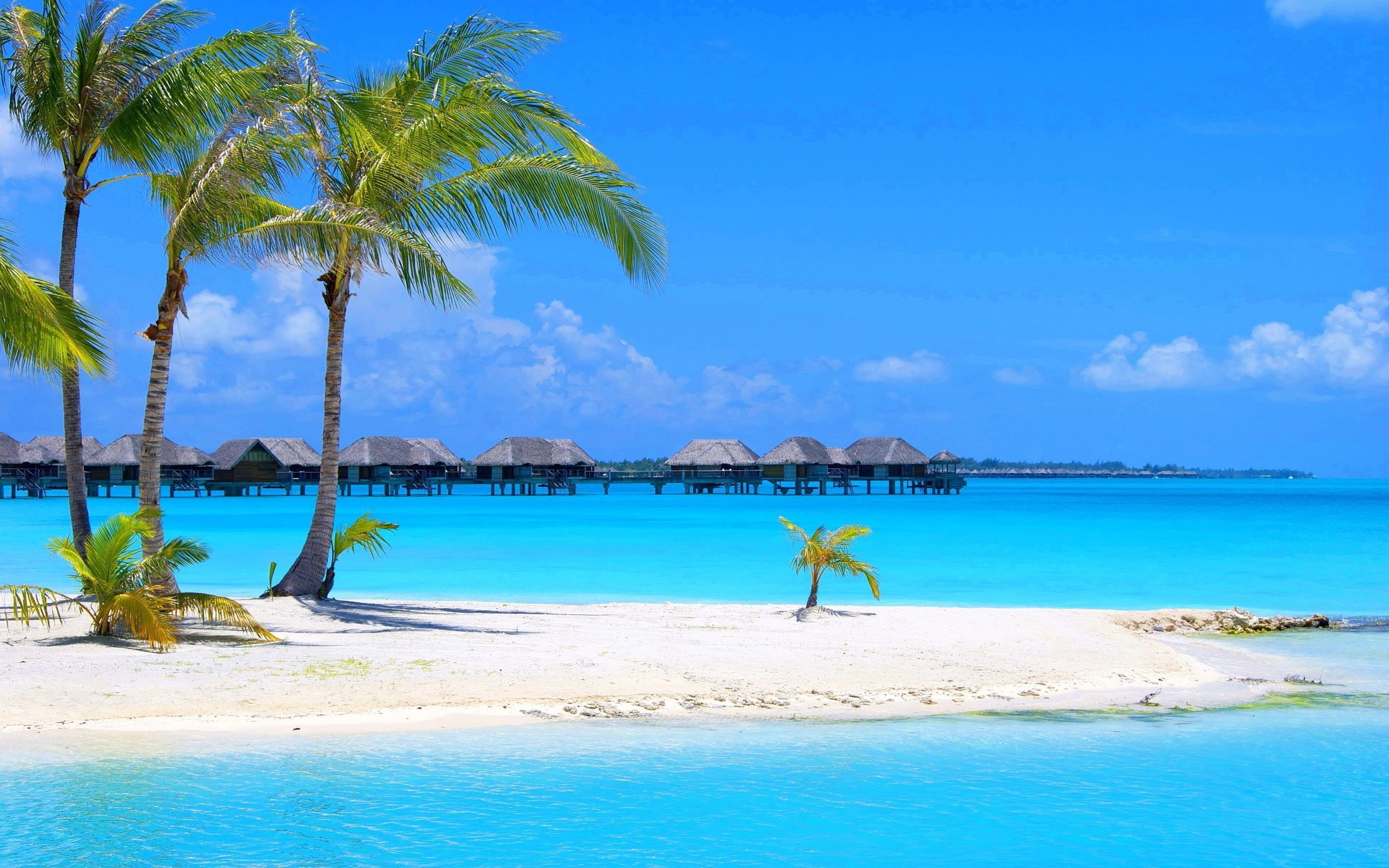 2K, nature, plant, scenics - nature, day, hd, real people, maldives, holiday, land, tropical, turquoise colored, leisure activity, turquoise, bungalows, HD Wallpaper