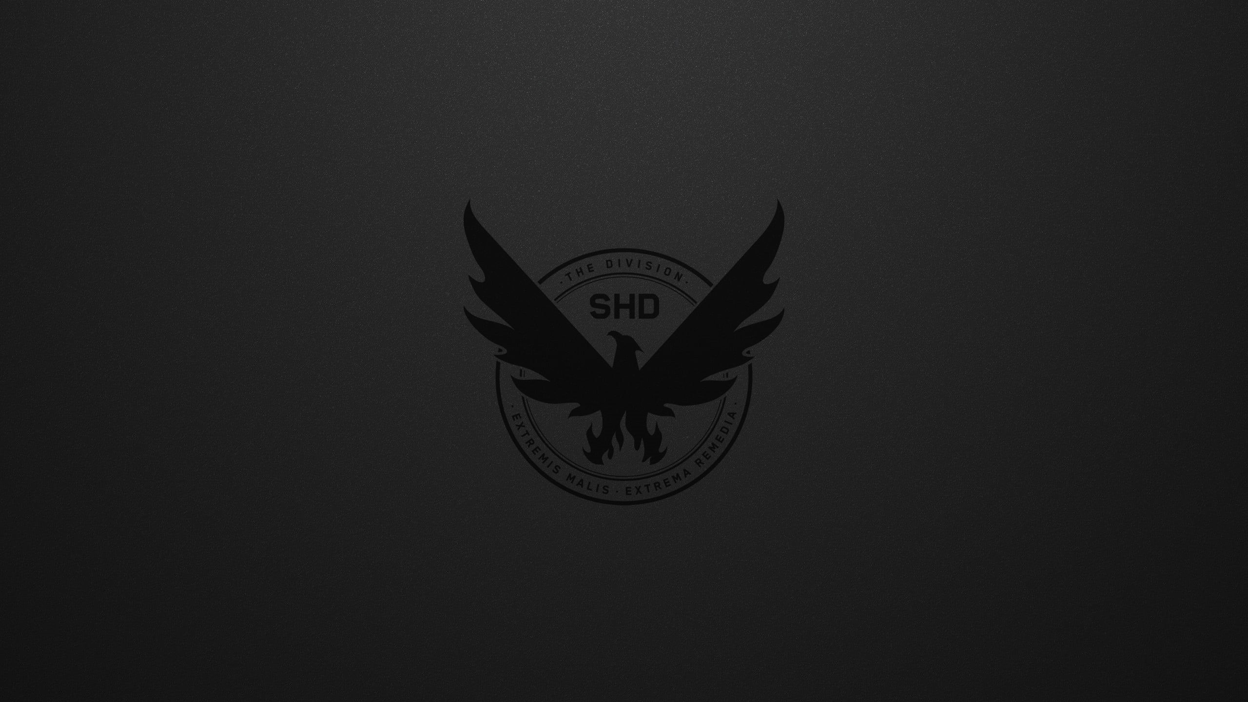 Video Game, 2K, Tom Clancys The Division 2, HD Wallpaper